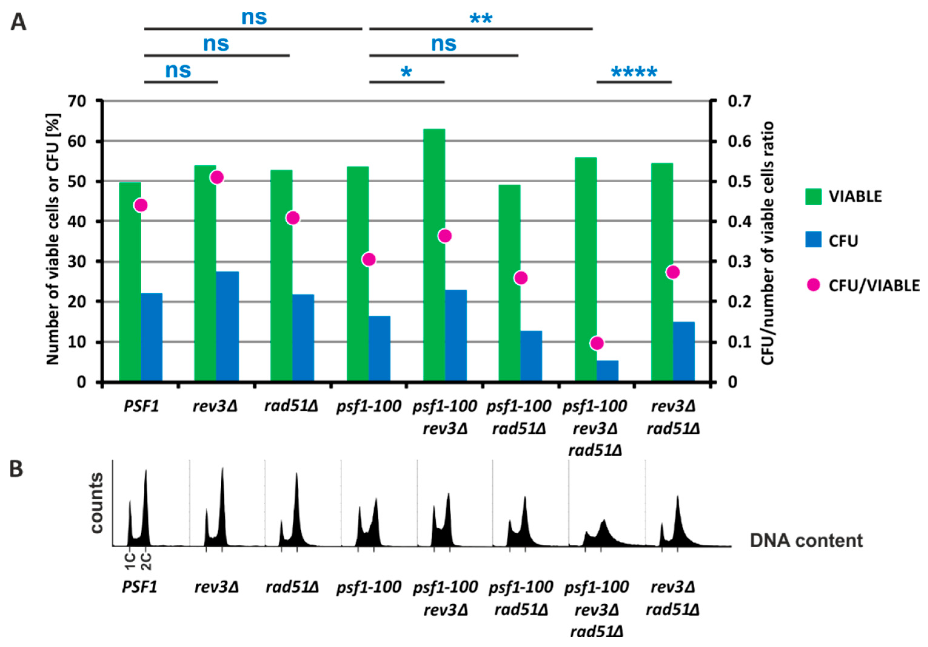 Ijms 21 09484 g004 Ijms 21 09484 g004