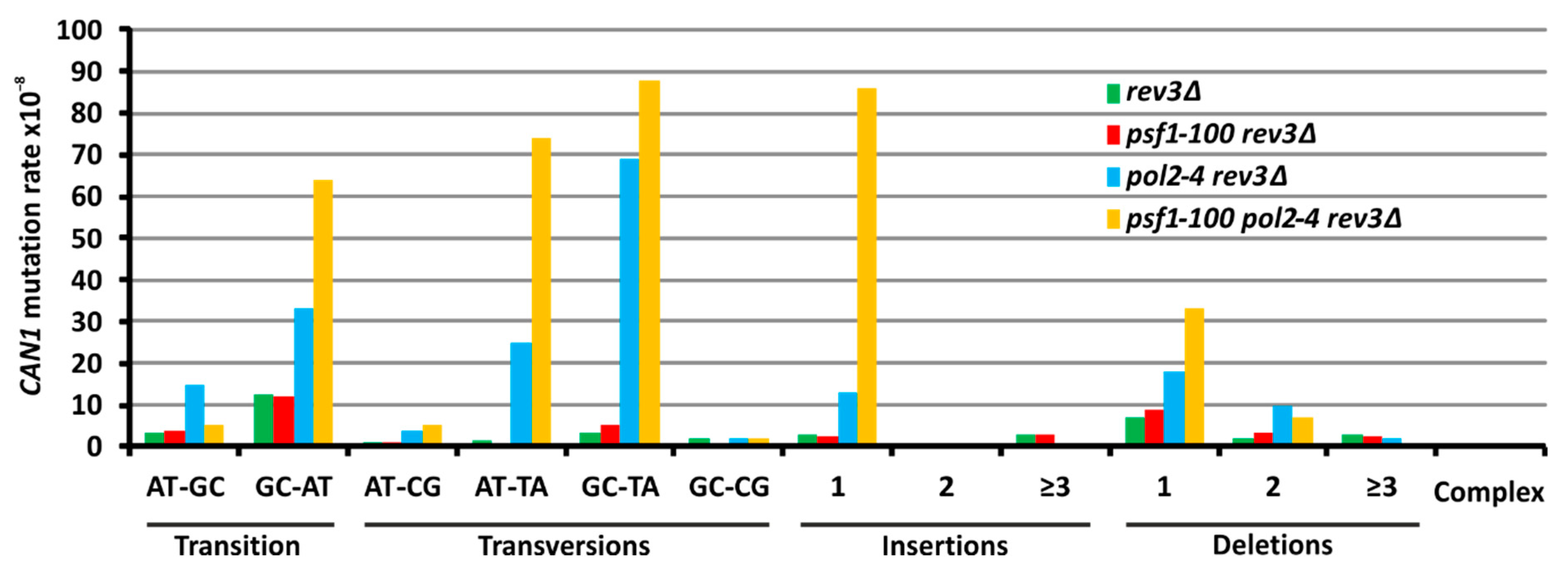 Ijms 21 09484 g005 Ijms 21 09484 g005