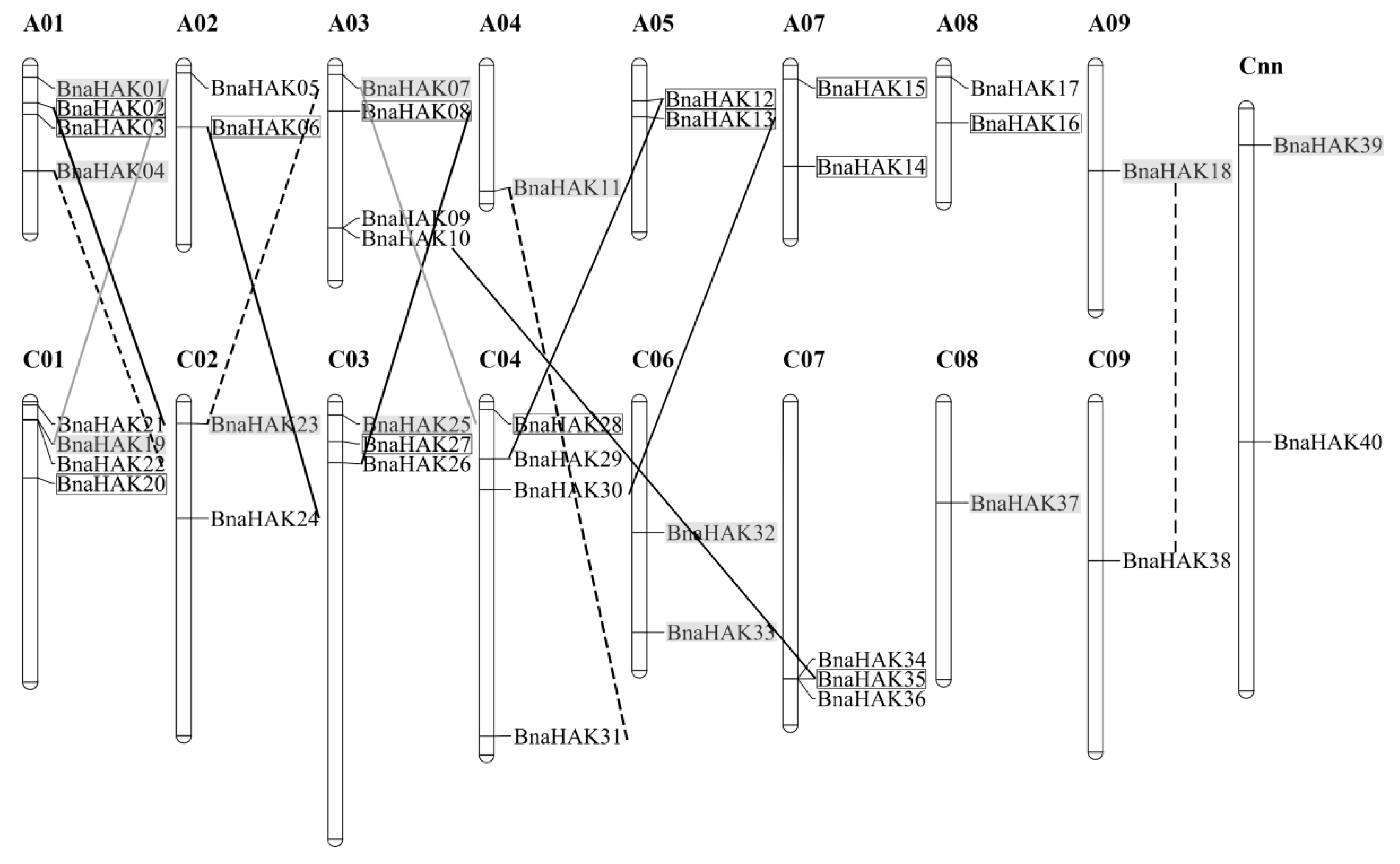 Ijms 21 09487 g003 Ijms 21 09487 g003