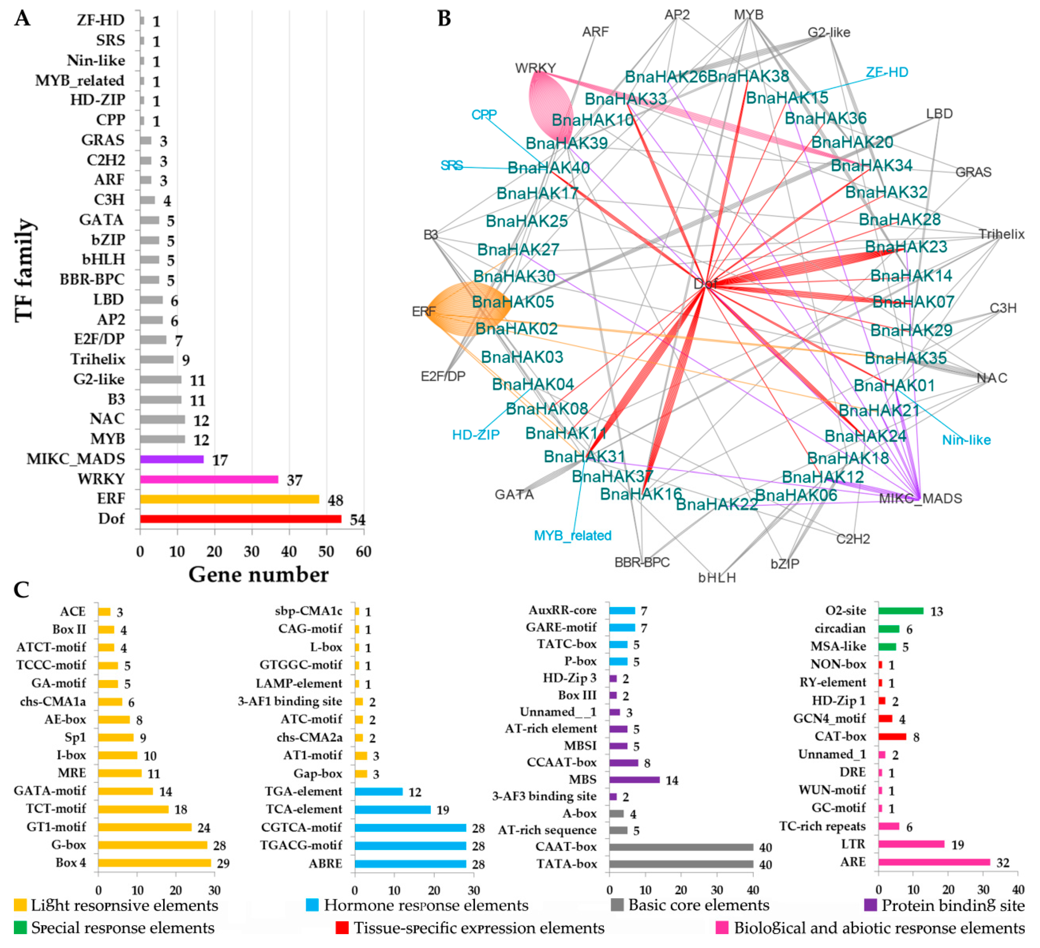 Ijms 21 09487 g004 Ijms 21 09487 g004