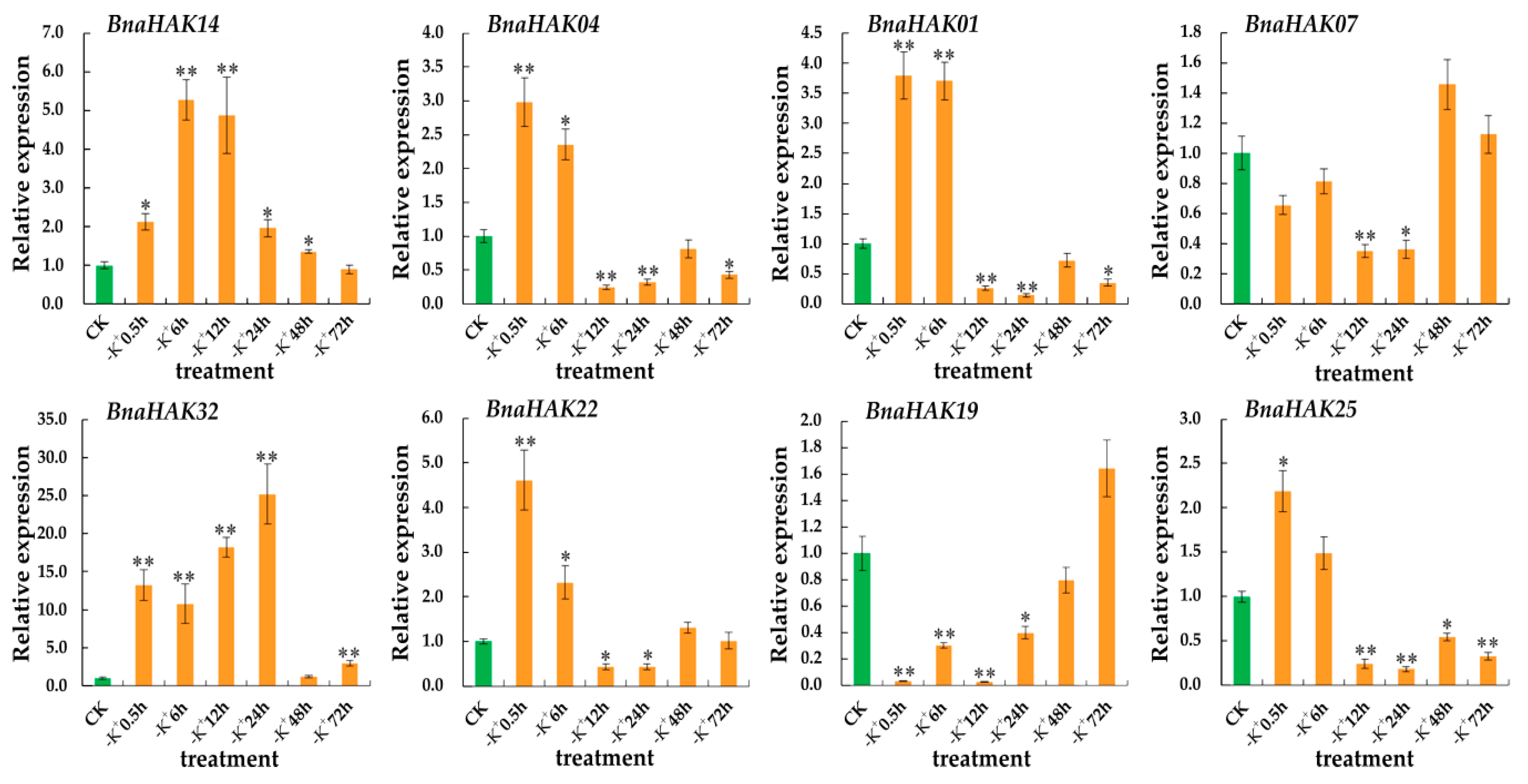 Ijms 21 09487 g007 Ijms 21 09487 g007