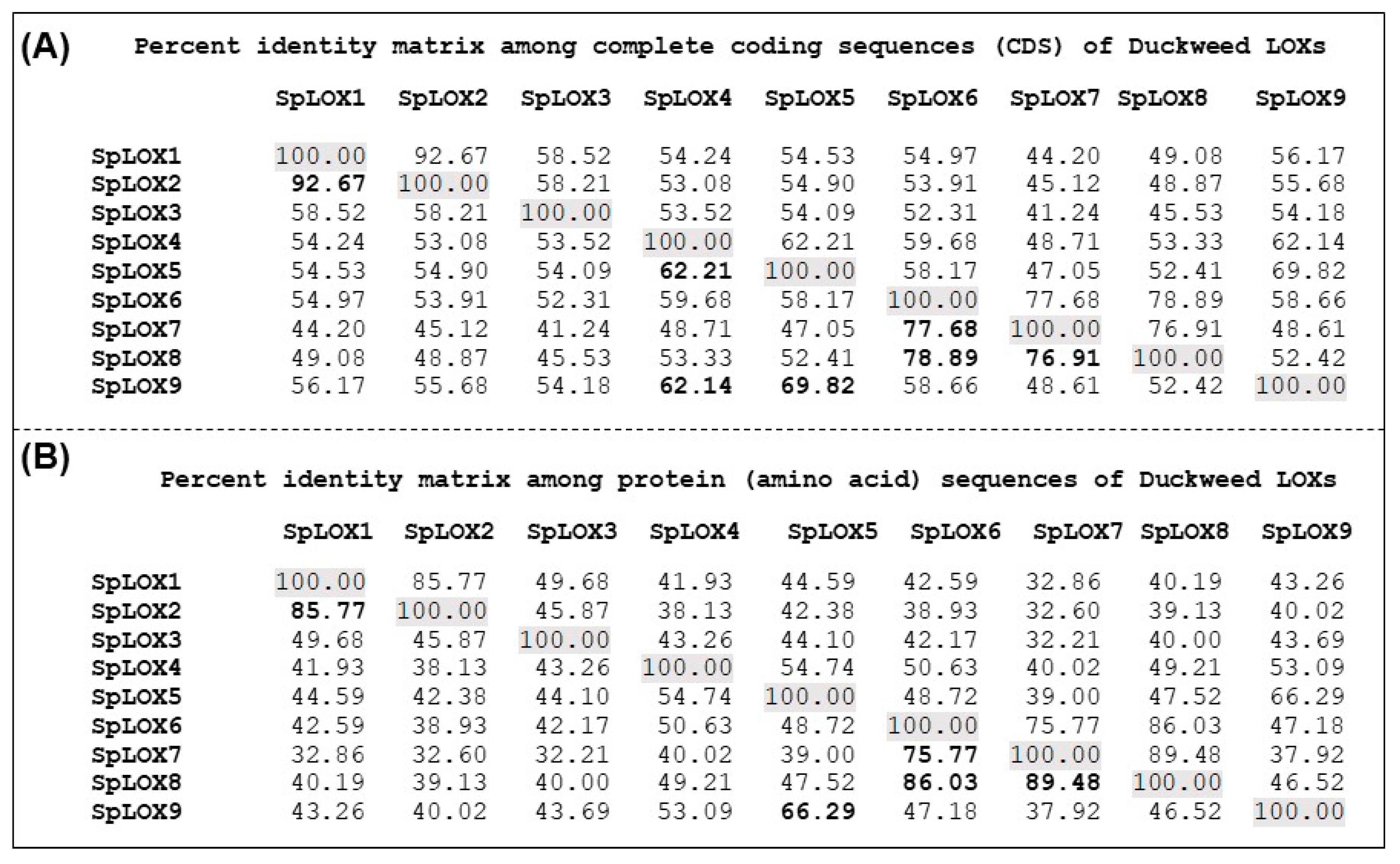 Ijms 21 09527 g004 Ijms 21 09527 g004