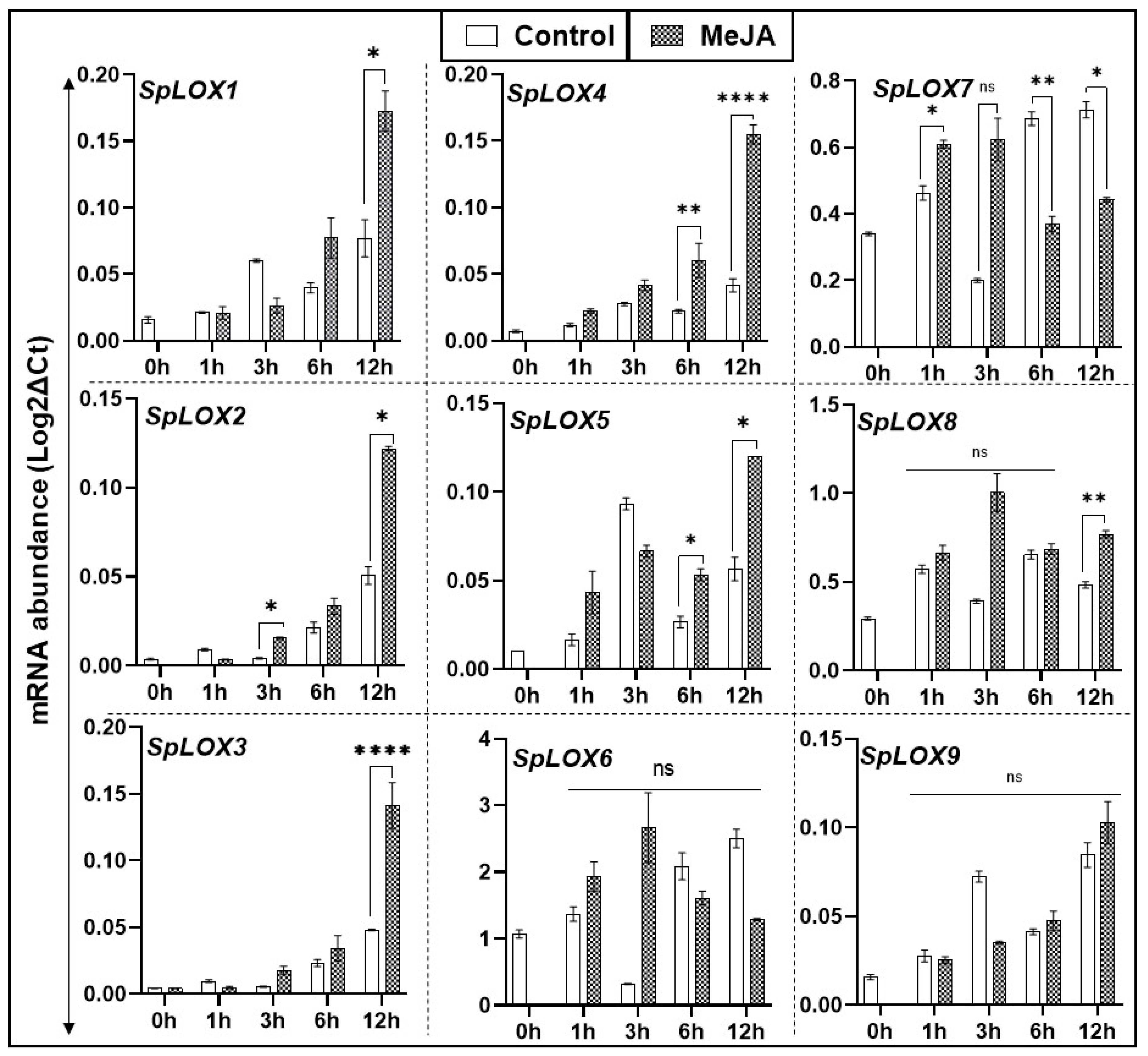 Ijms 21 09527 g007 Ijms 21 09527 g007