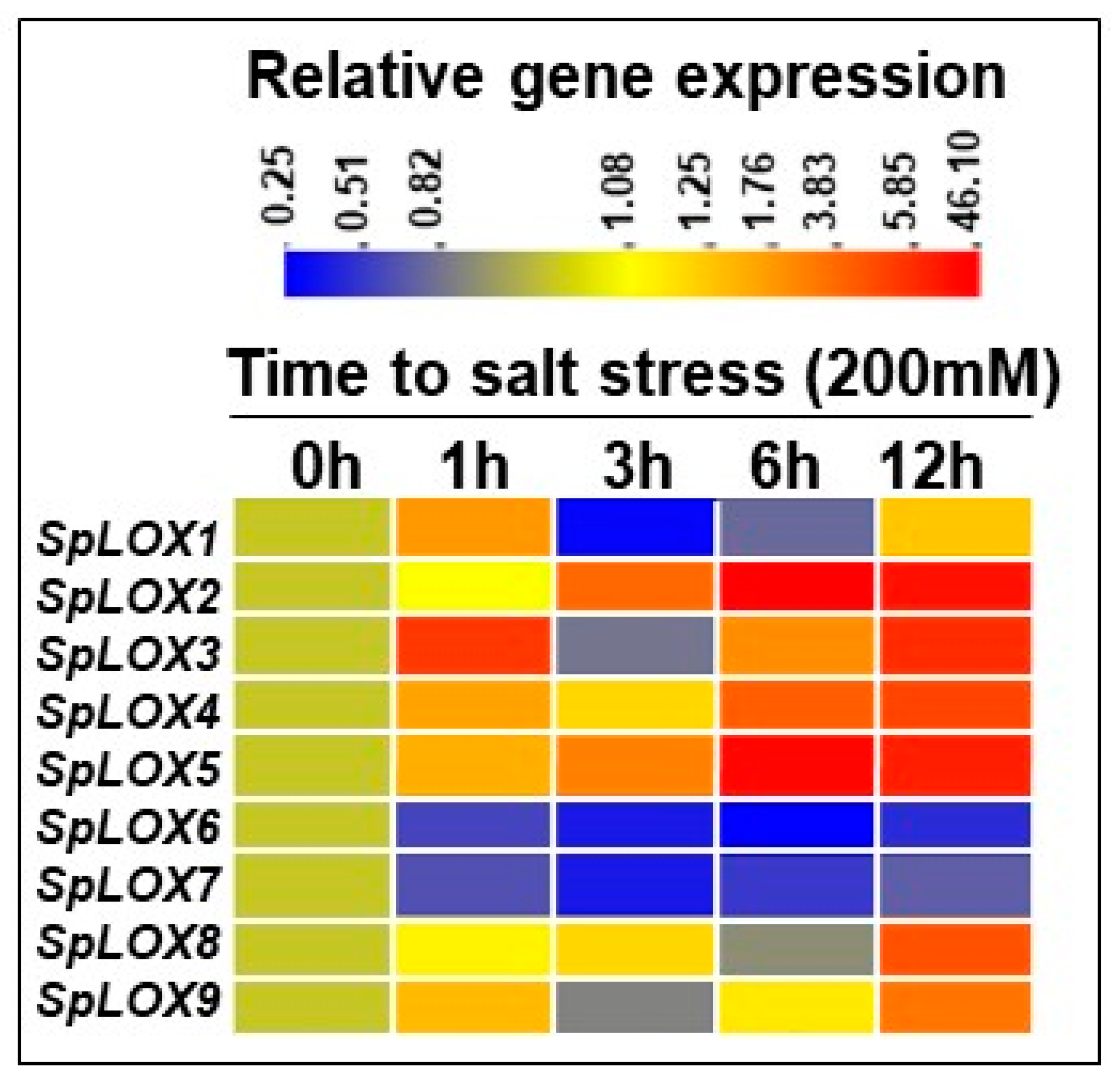 Ijms 21 09527 g008 Ijms 21 09527 g008