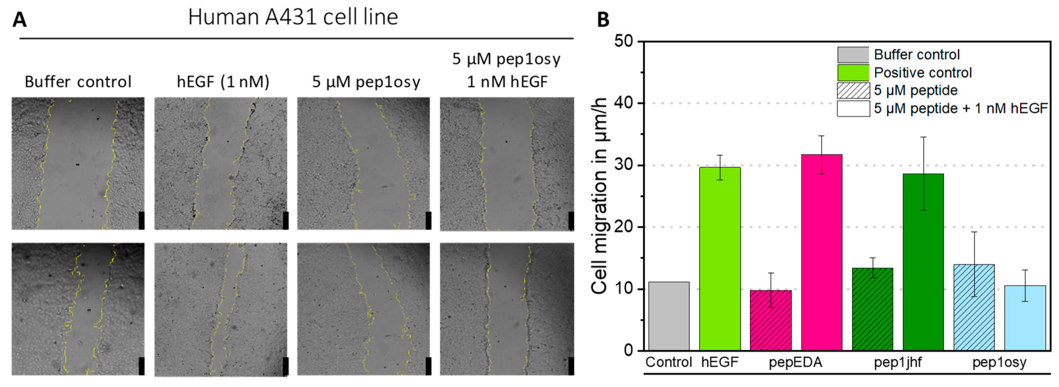 Ijms 21 09535 g003 Ijms 21 09535 g003