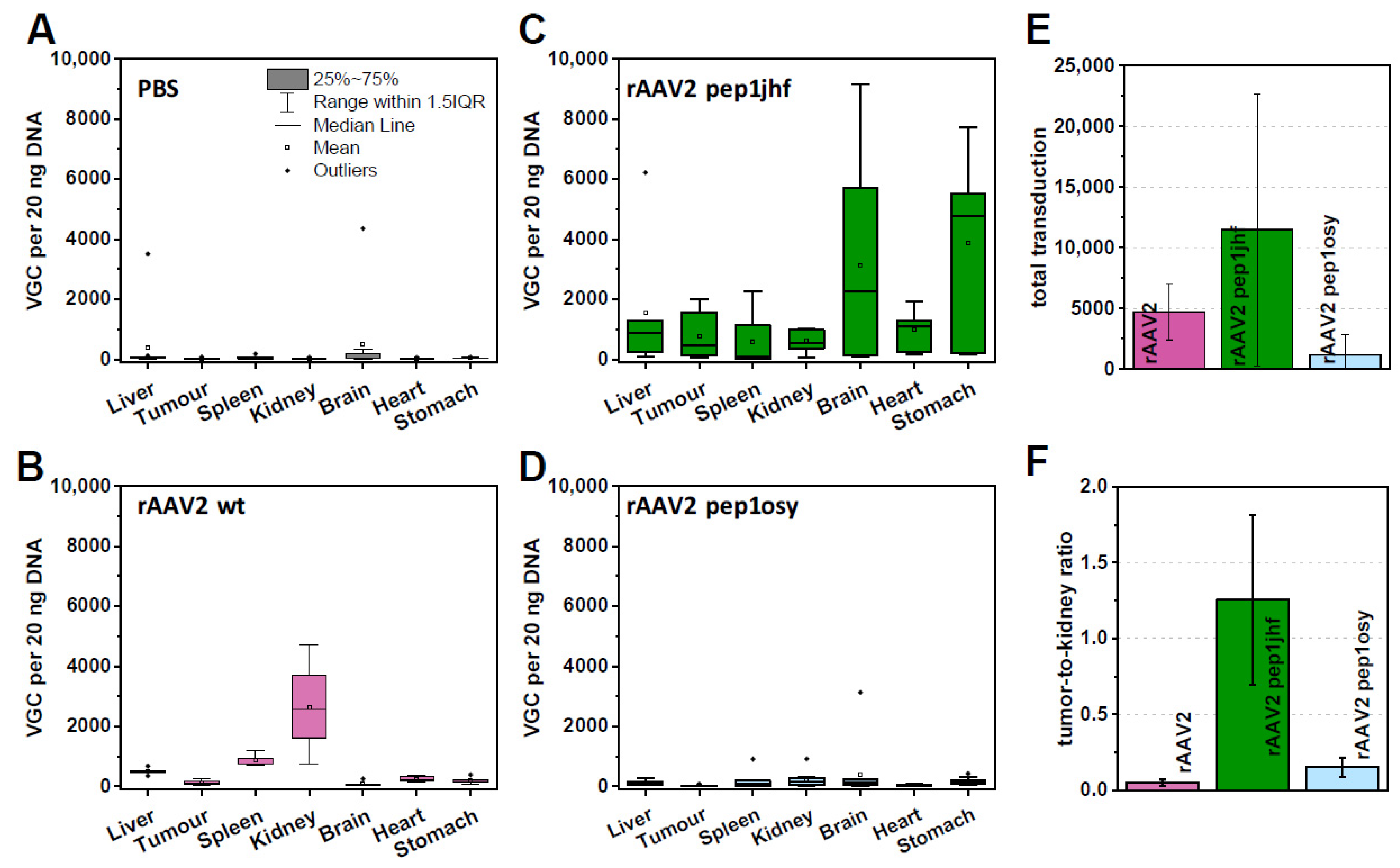 Ijms 21 09535 g005 Ijms 21 09535 g005
