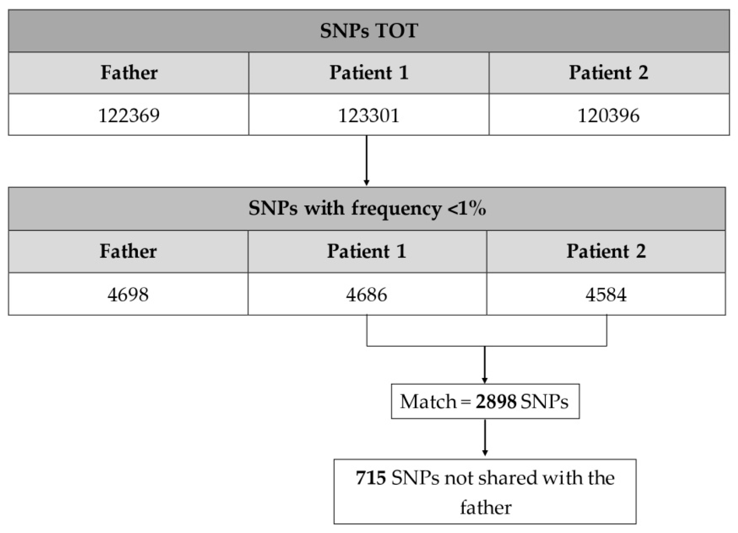 Ijms 21 09551 g001 Ijms 21 09551 g001