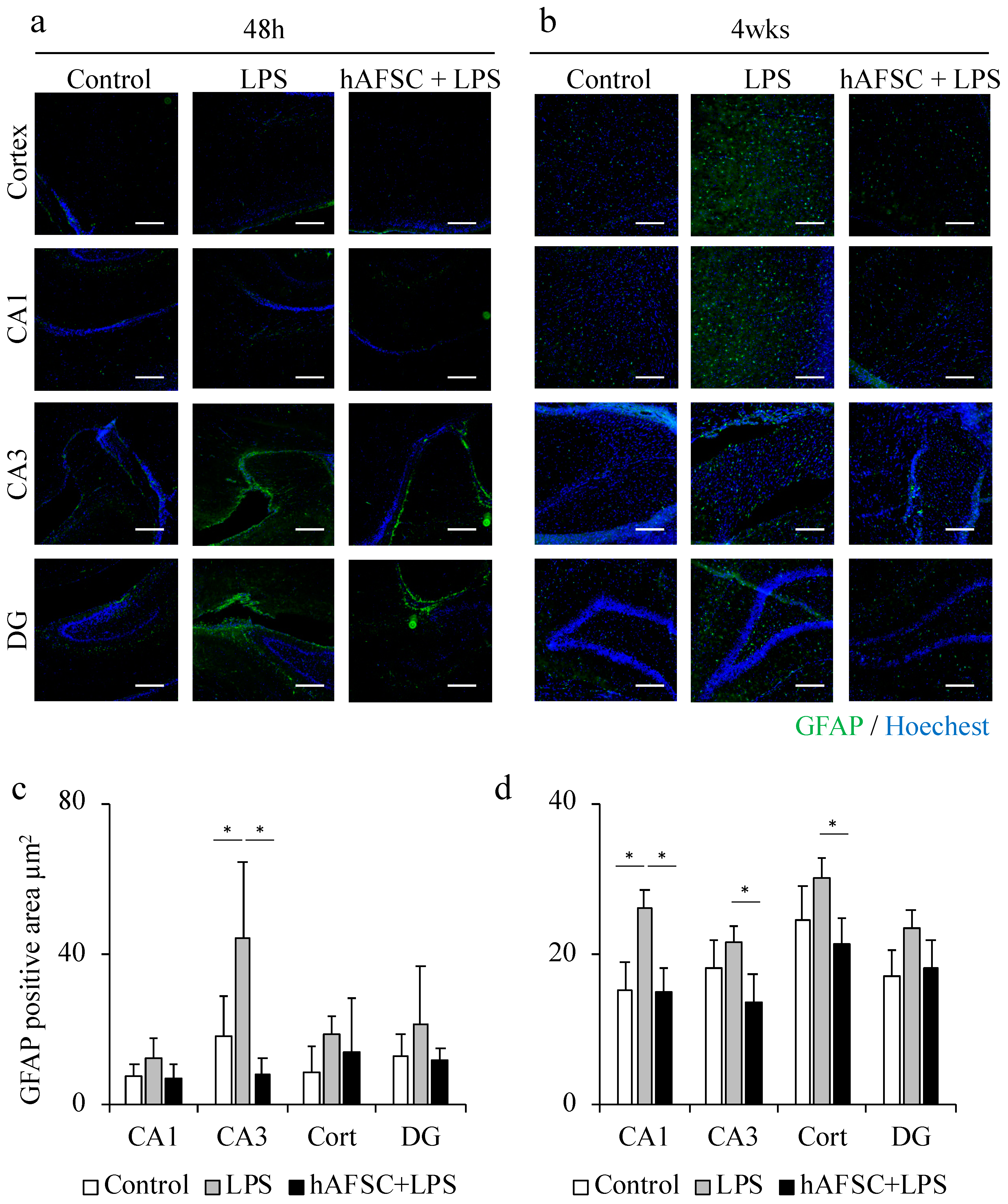 Ijms 21 09590 g001 Ijms 21 09590 g001