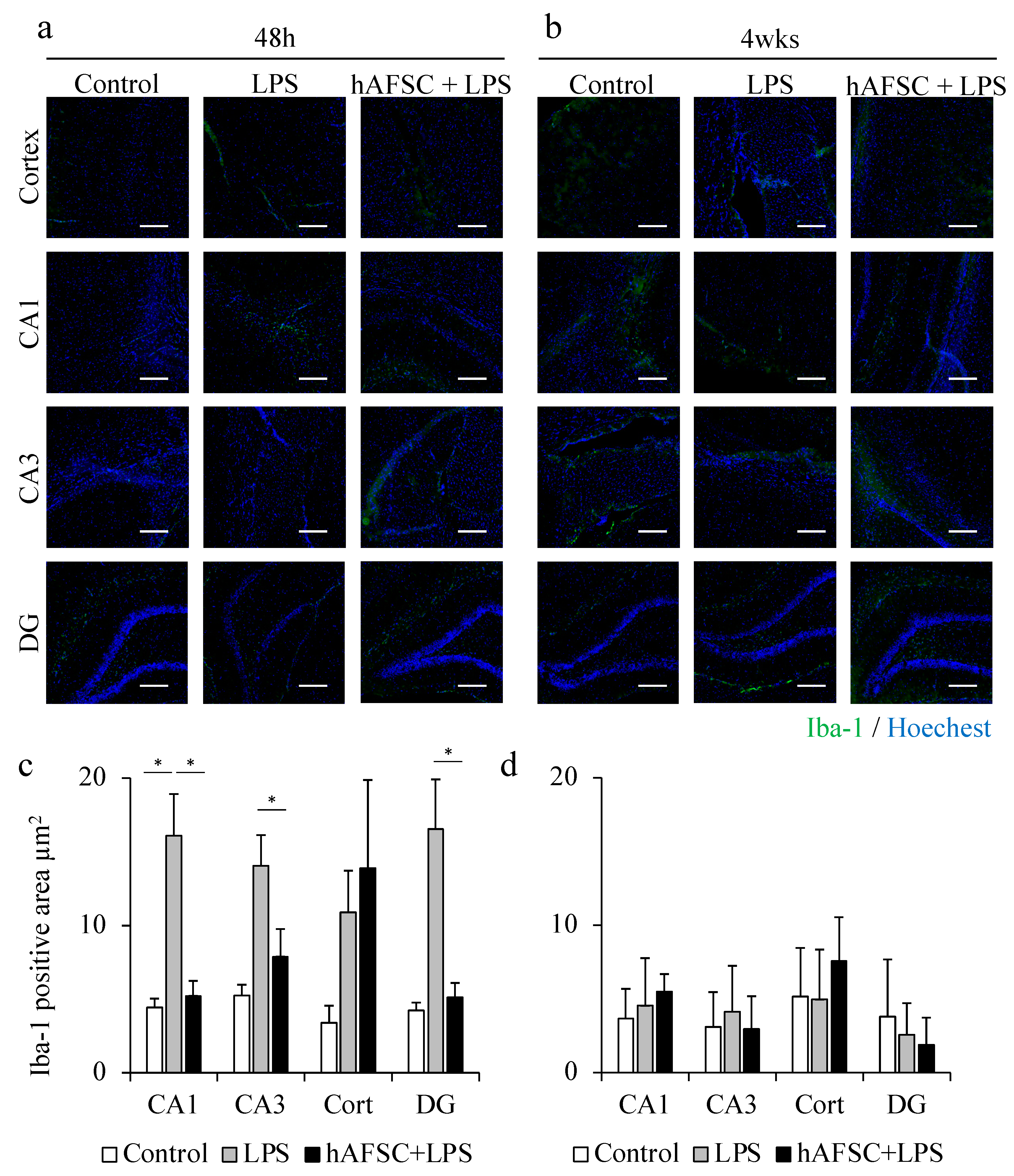 Ijms 21 09590 g002 Ijms 21 09590 g002