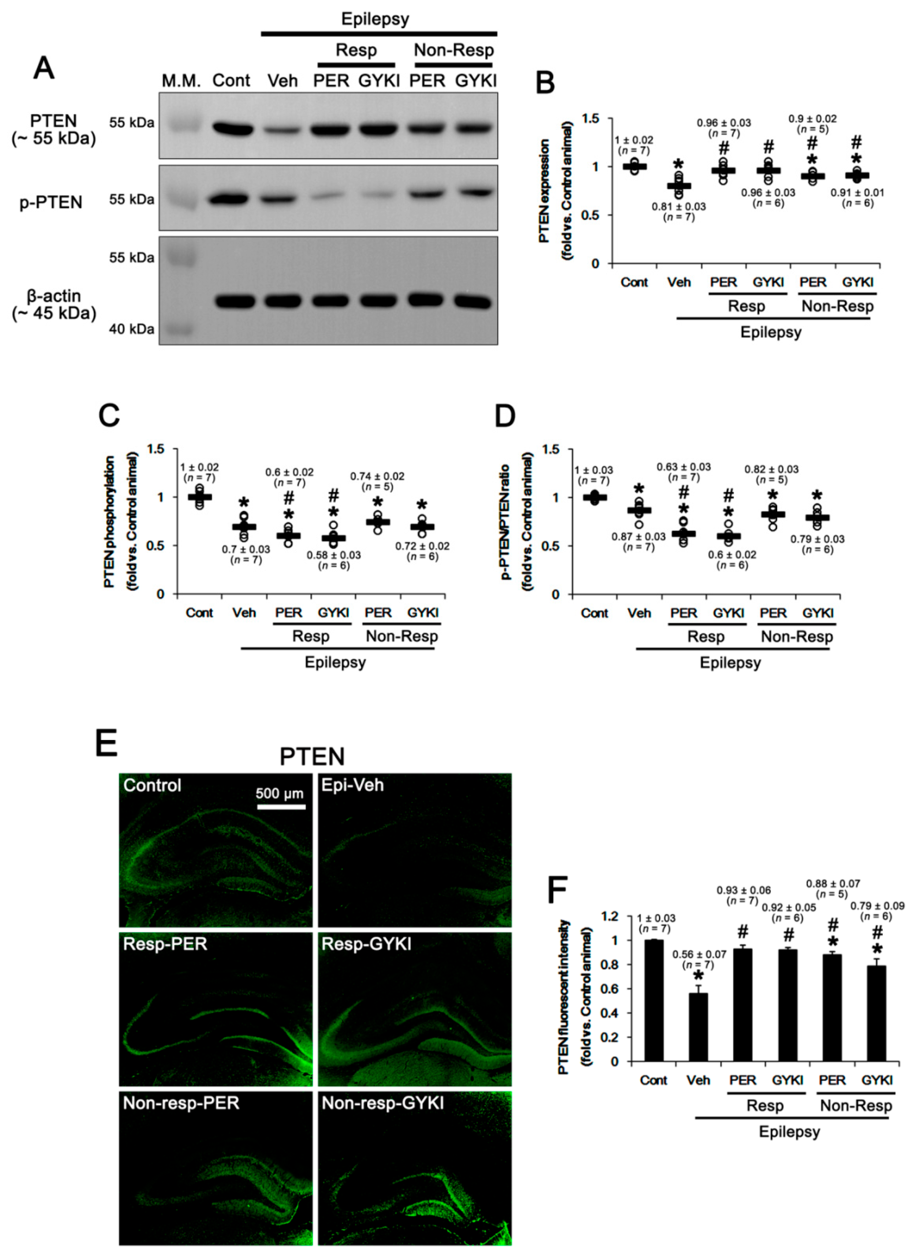 Ijms 21 09633 g003 Ijms 21 09633 g003