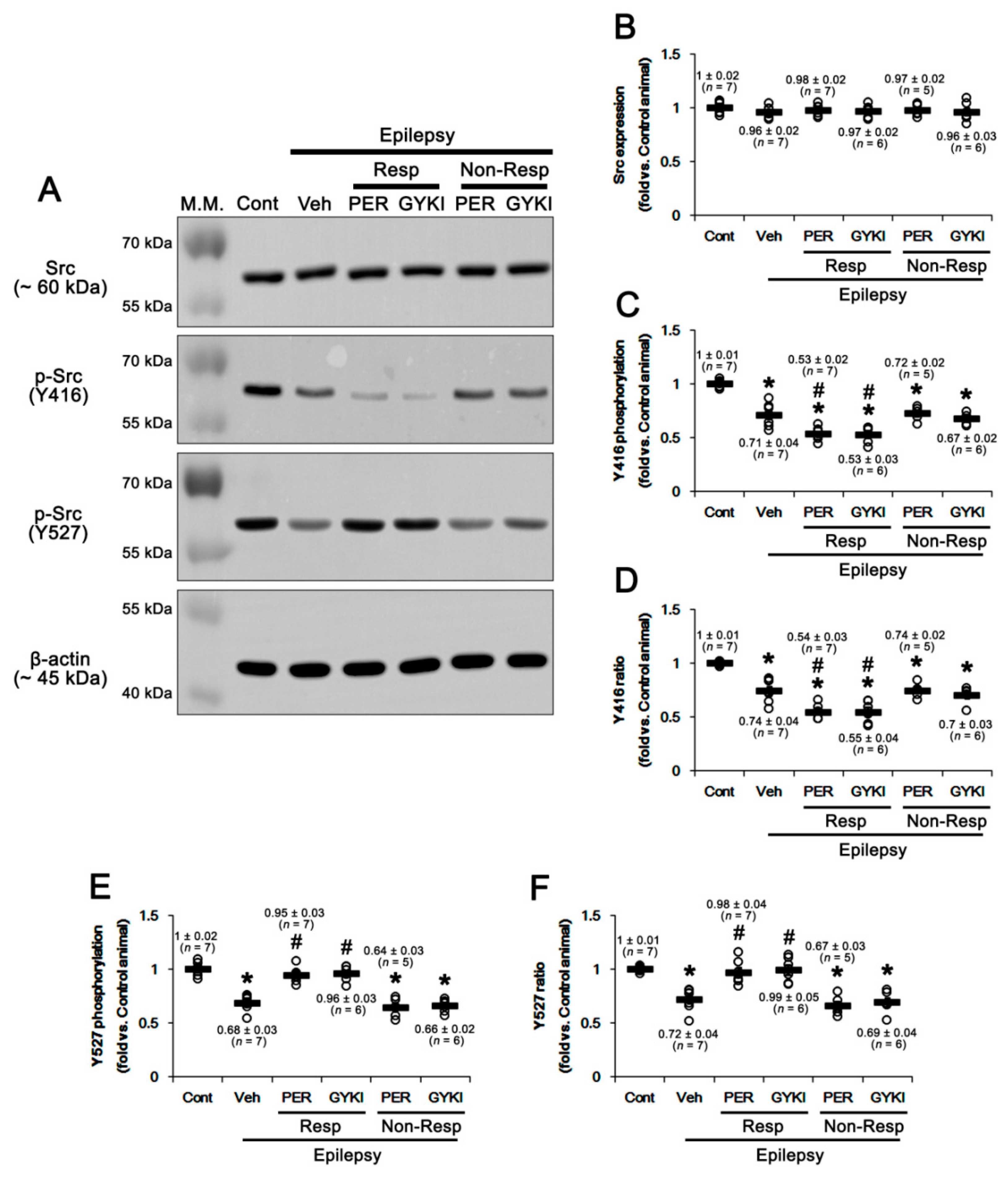 Ijms 21 09633 g005 Ijms 21 09633 g005