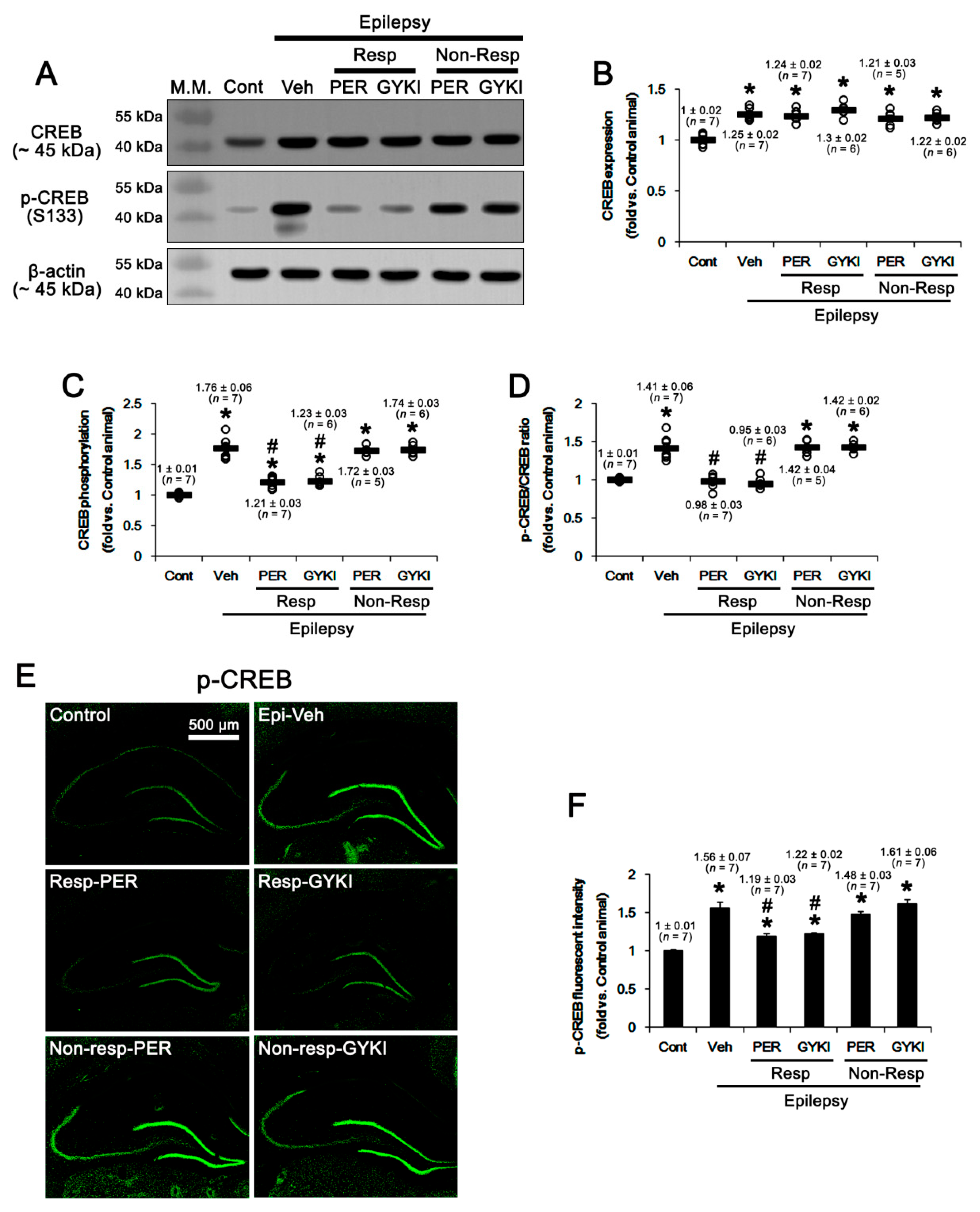 Ijms 21 09633 g006 Ijms 21 09633 g006