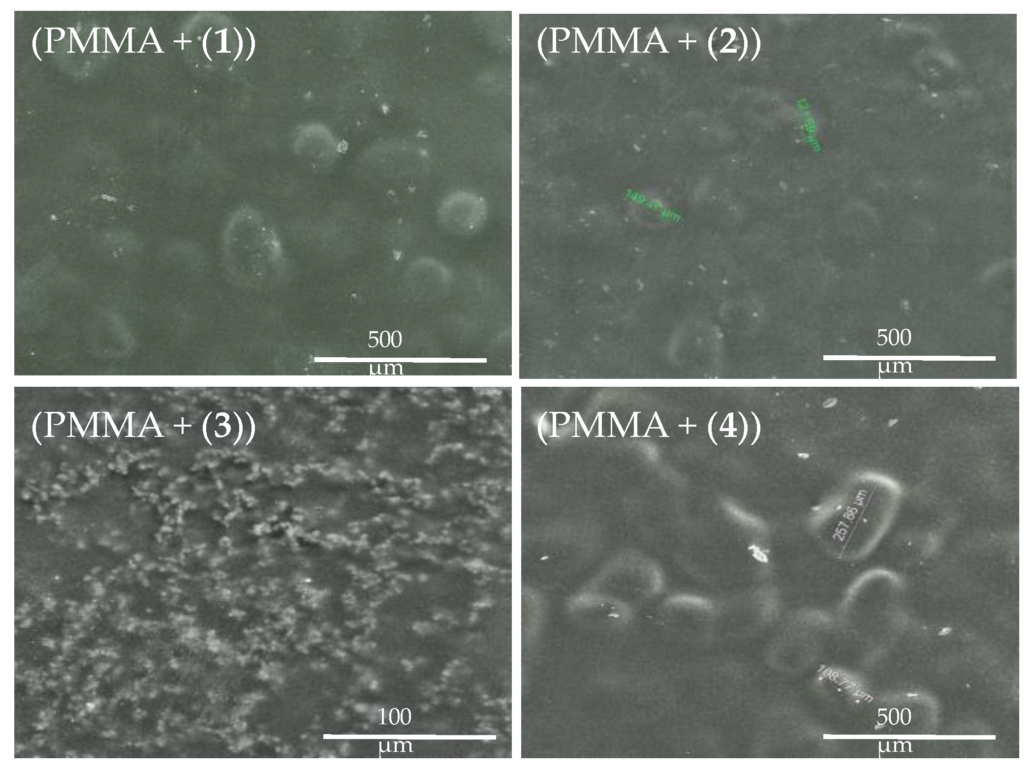 Ijms 21 09663 g004 Ijms 21 09663 g004