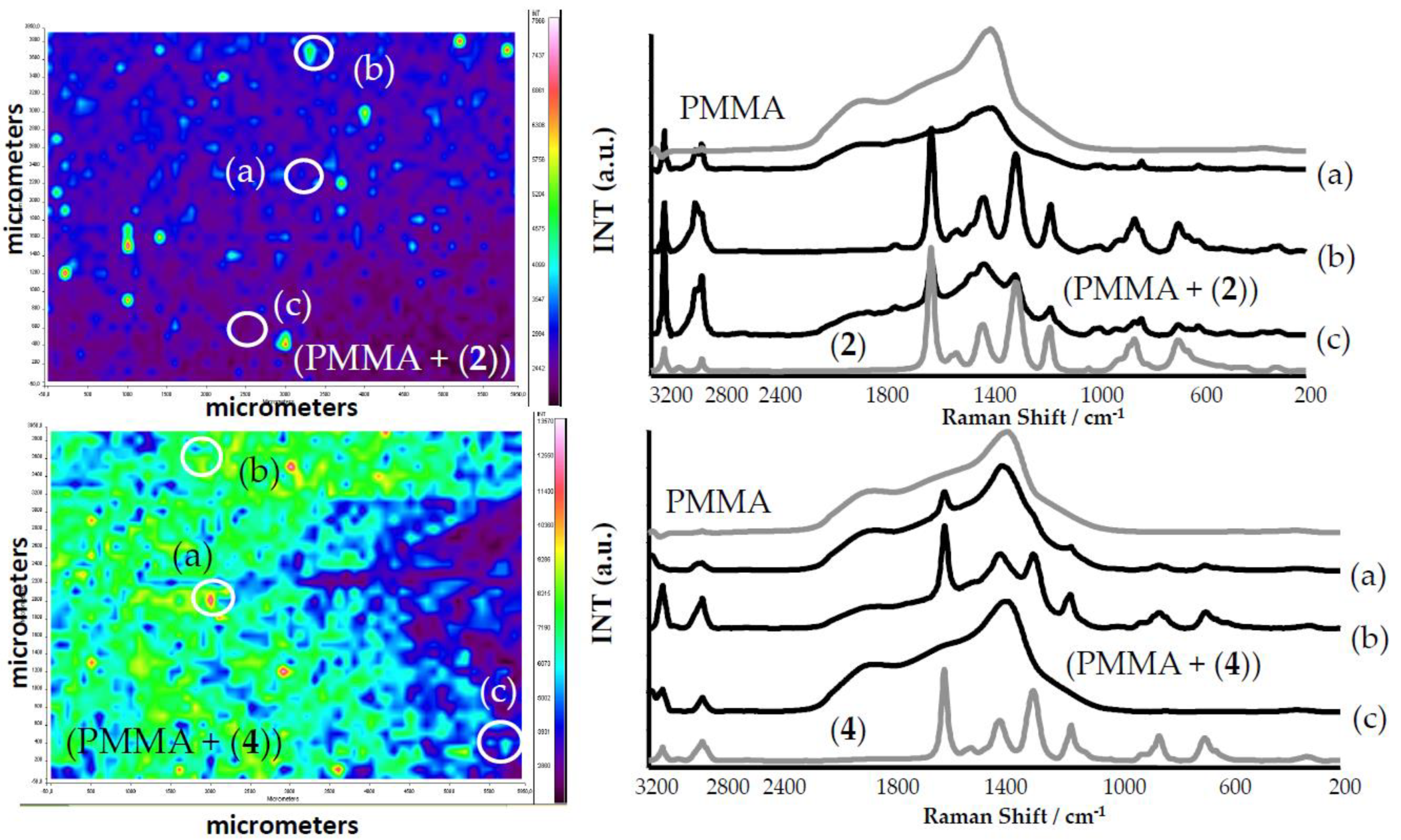 Ijms 21 09663 g005 Ijms 21 09663 g005