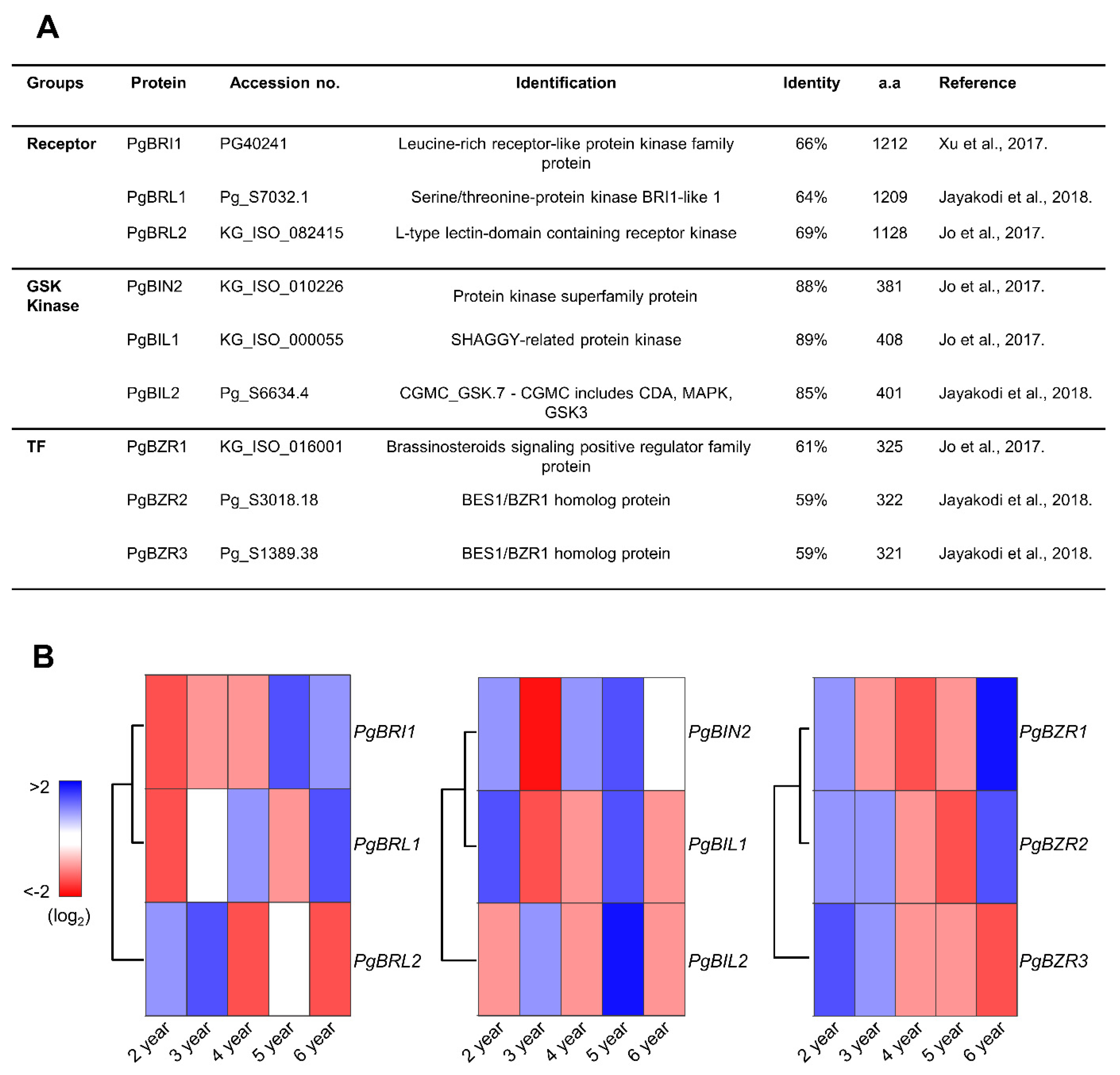 Ijms 21 09666 g002 Ijms 21 09666 g002