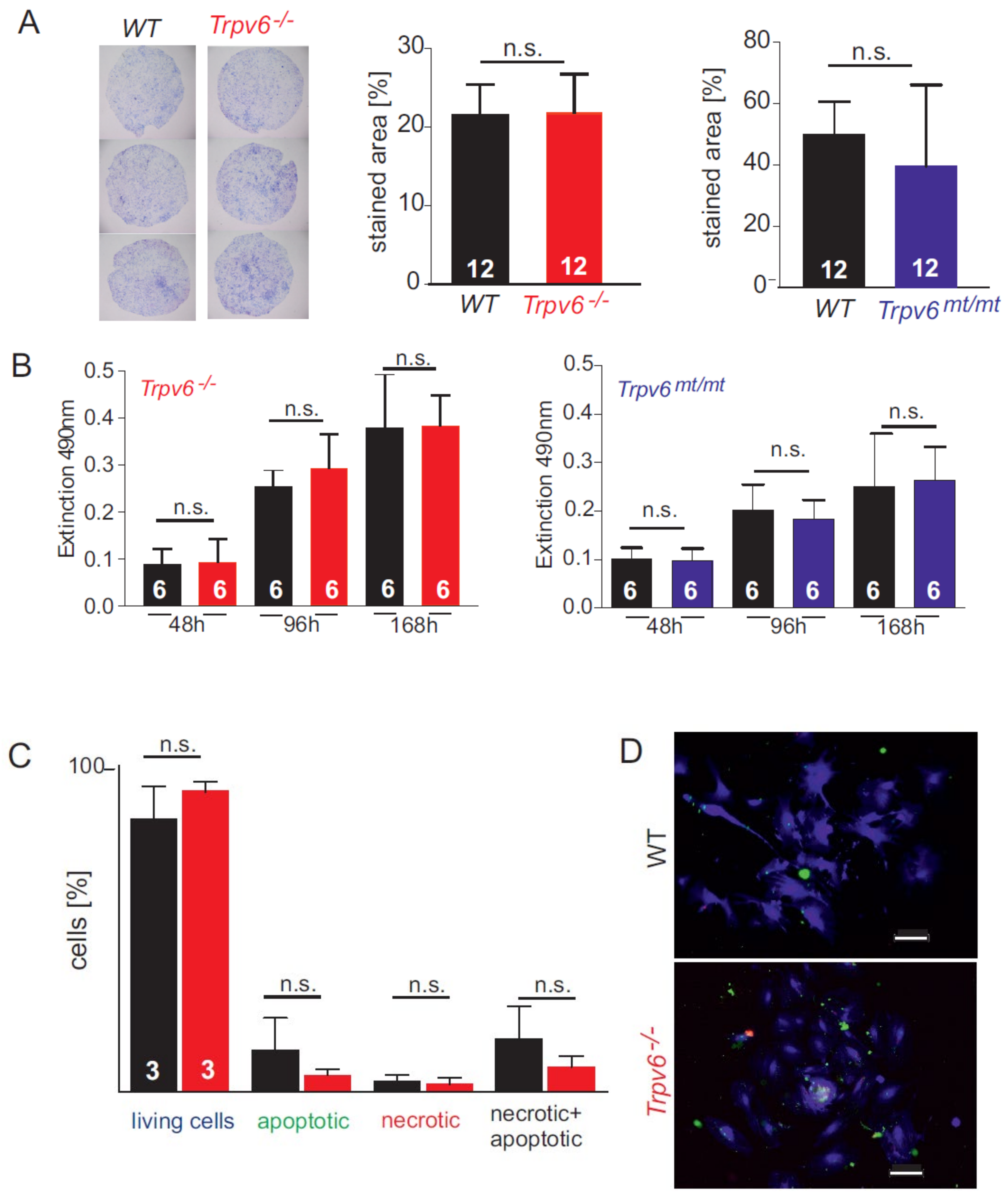 Ijms 21 09674 g002 Ijms 21 09674 g002