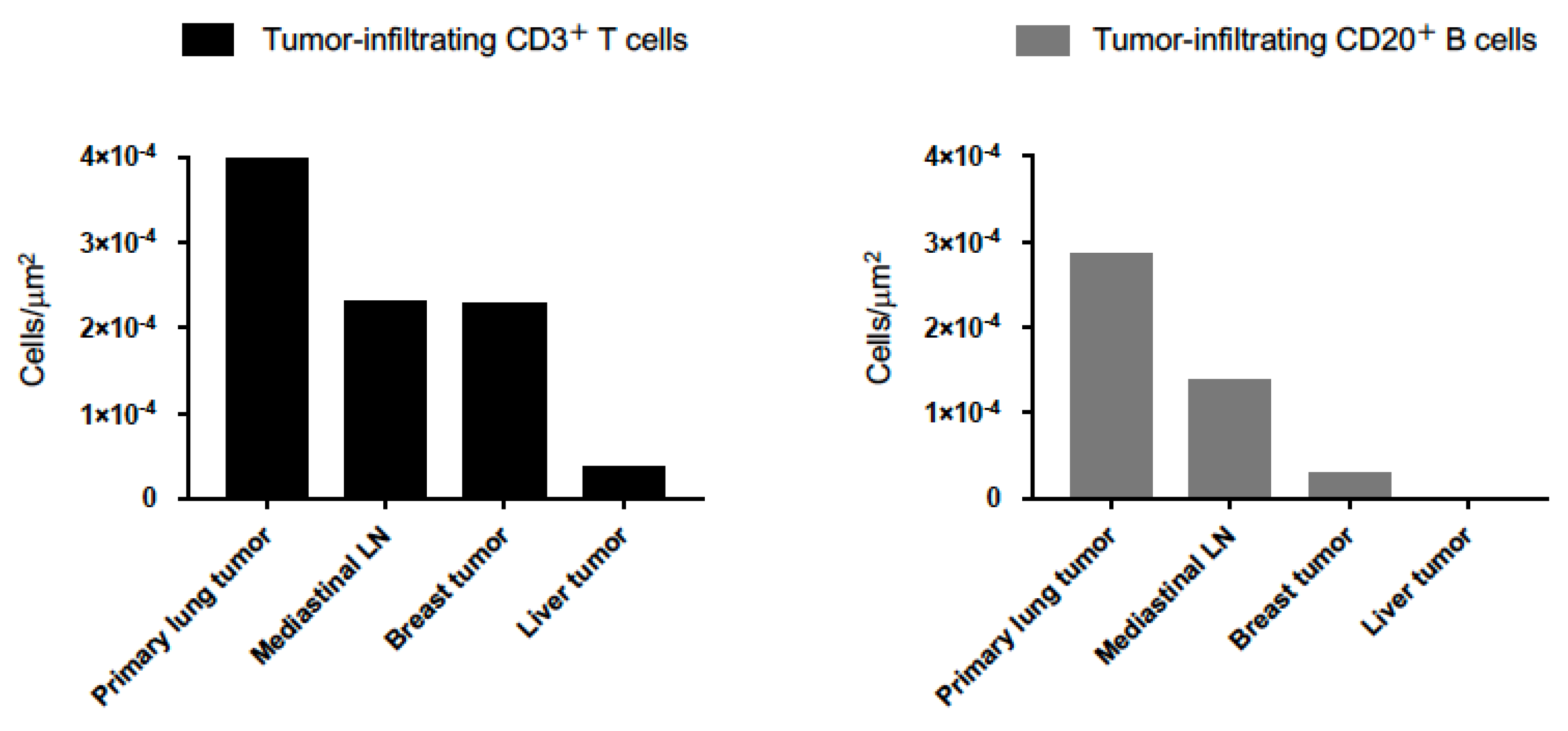 Ijms 21 09705 g005 Ijms 21 09705 g005