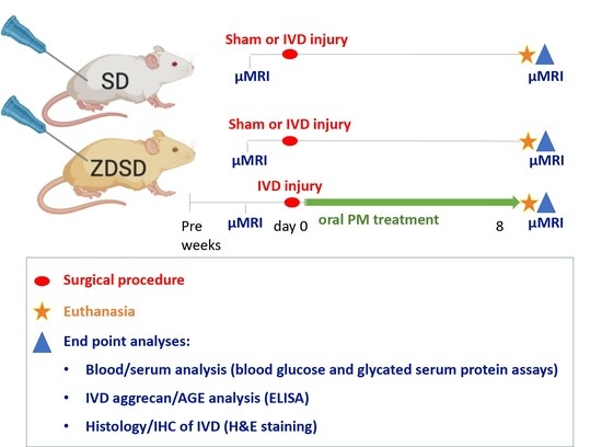 Ijms Free Full Text Advanced Glycation End Product Inhibitor Pyridoxamine Attenuates Ivd Degeneration In Type 2 Diabetic Rats Html