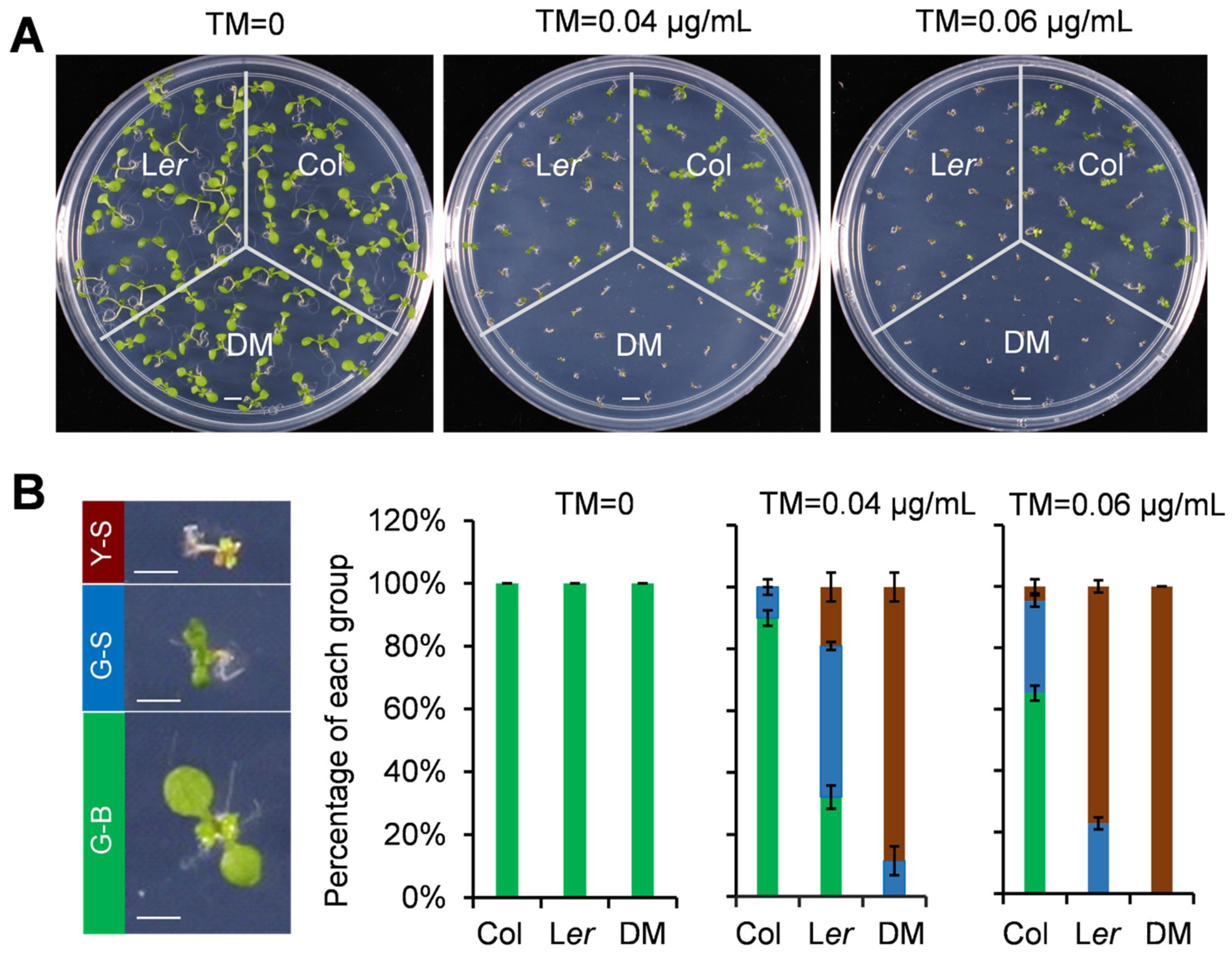 Ijms Free Full Text Quantitative Proteomic Analysis Of Er Stress Response Reveals Both Common And Specific Features In Two Contrasting Ecotypes Of Arabidopsis Thaliana Html