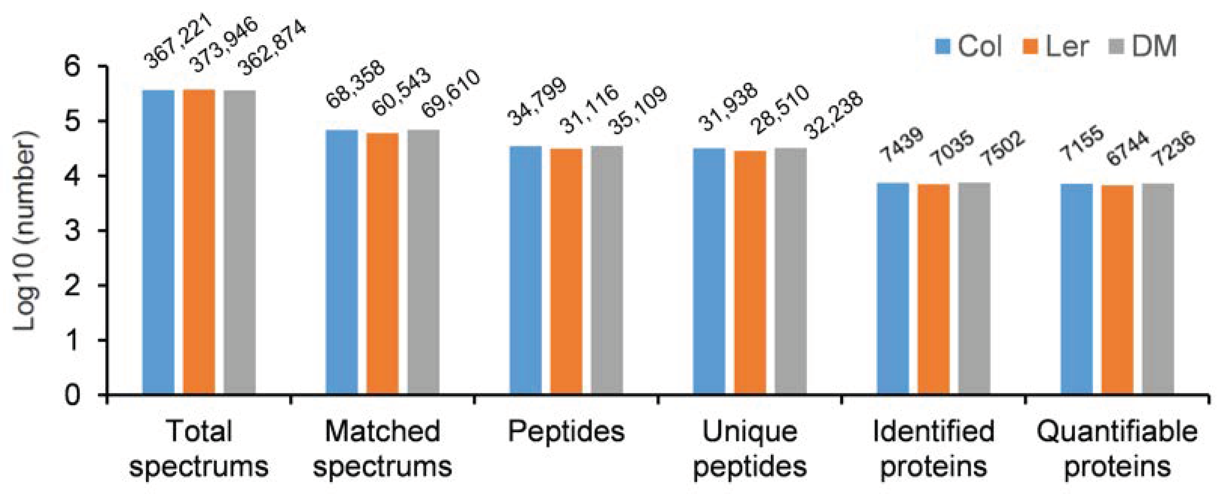 Ijms 21 09741 g003 Ijms 21 09741 g003