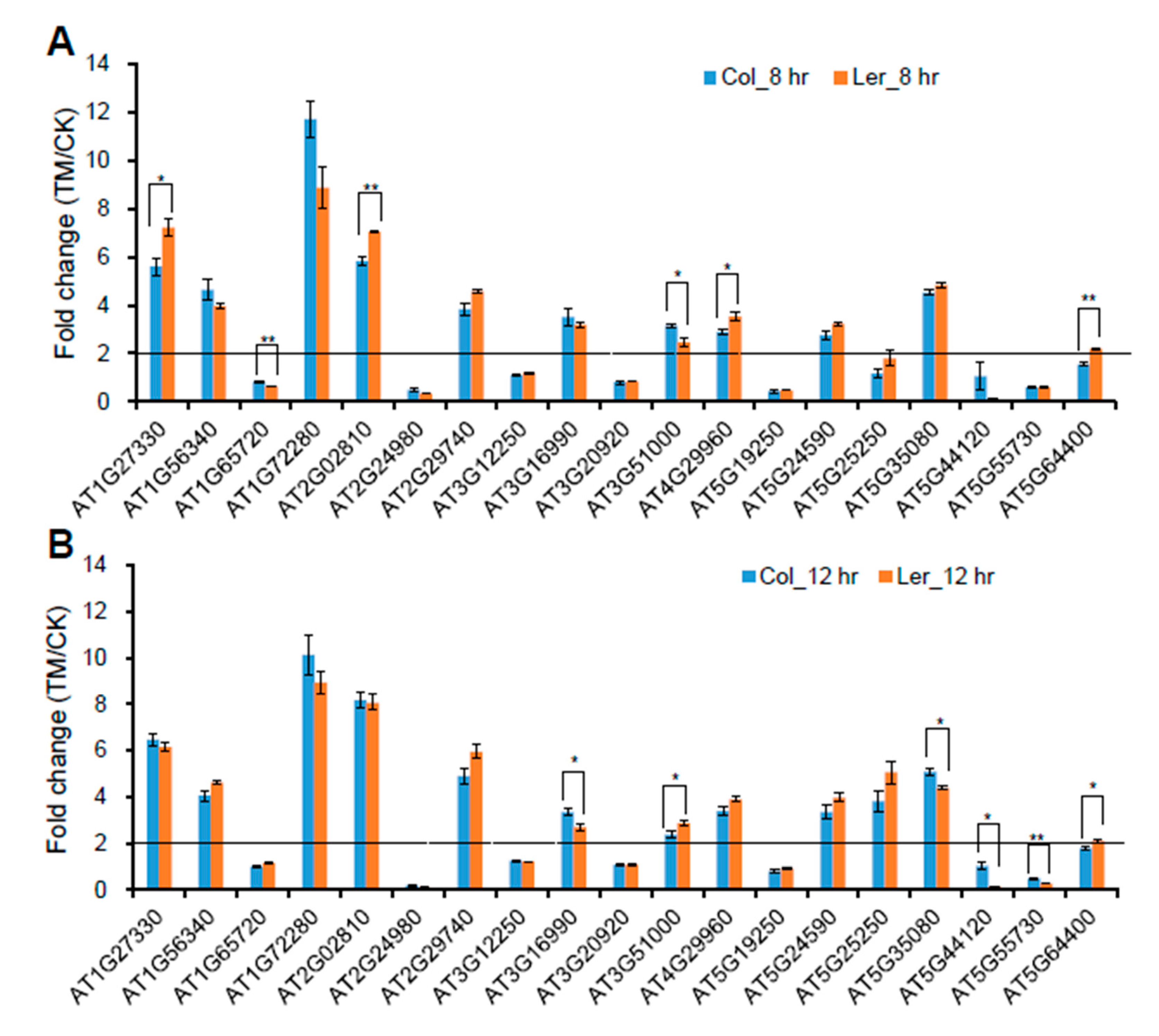 Ijms 21 09741 g006 Ijms 21 09741 g006