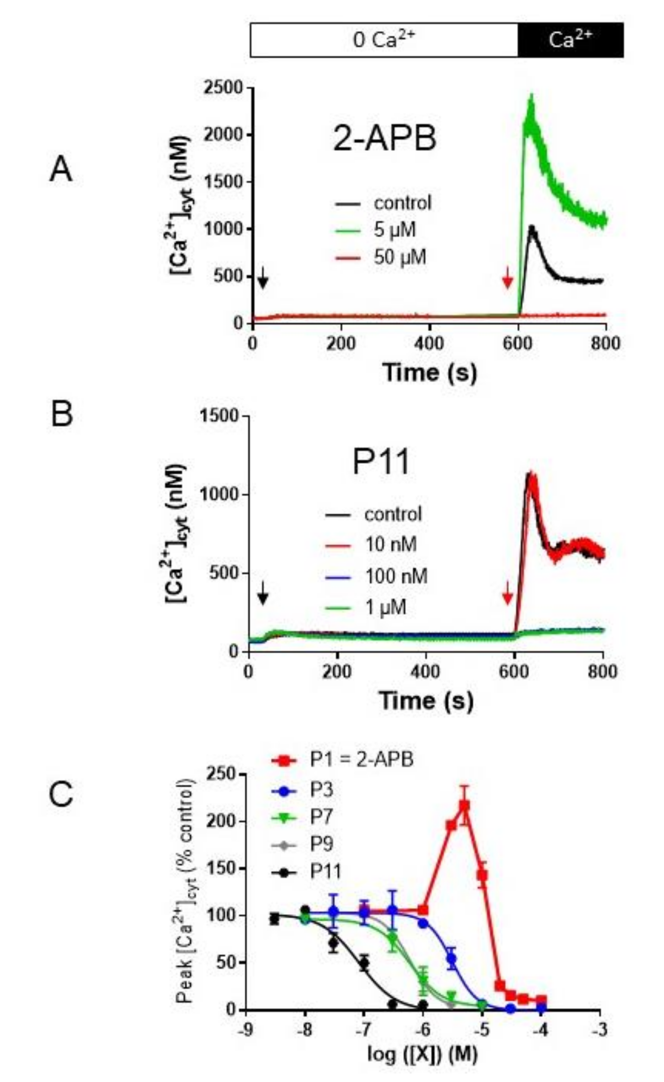 Ijms 21 09777 g002 Ijms 21 09777 g002