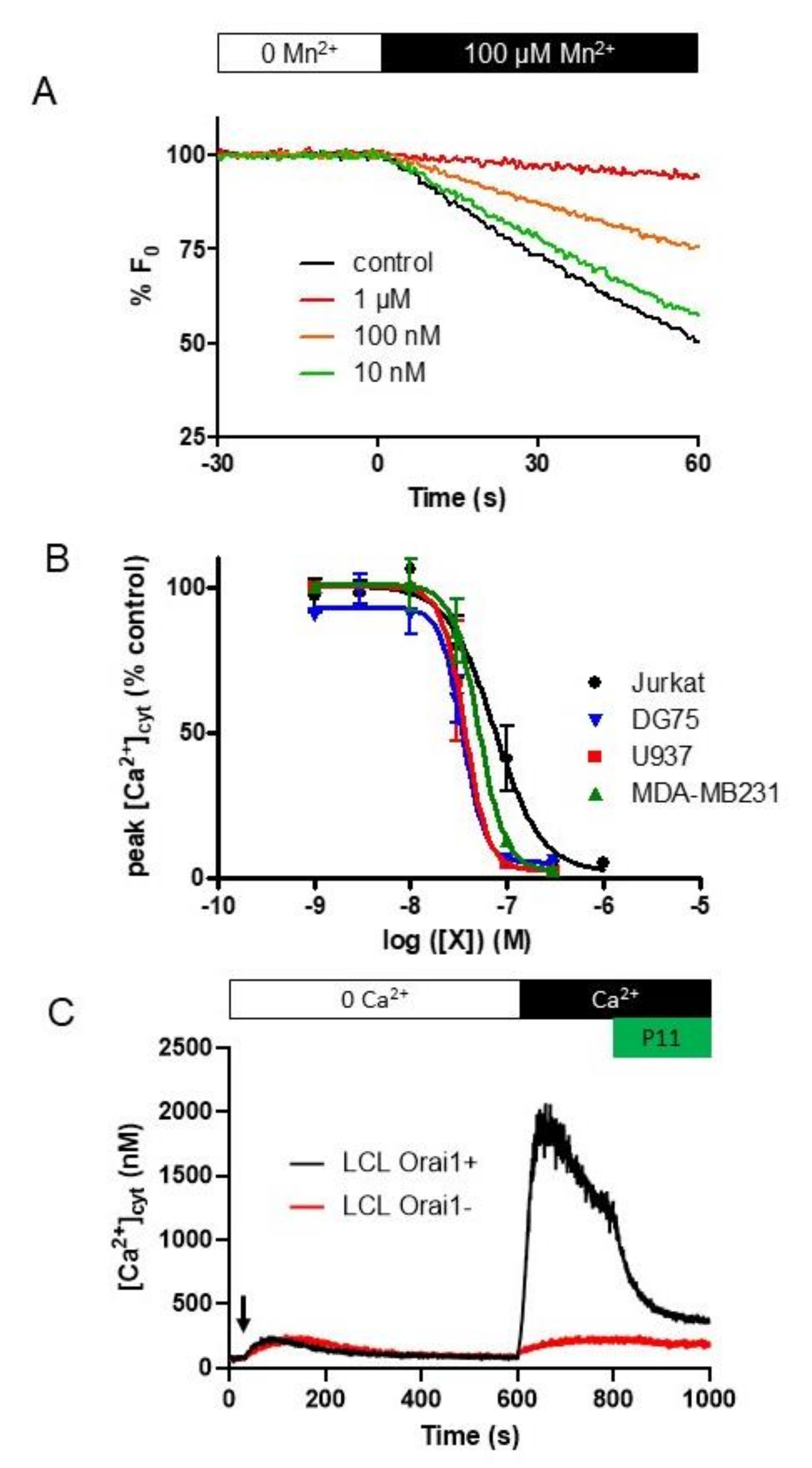 Ijms 21 09777 g003 Ijms 21 09777 g003