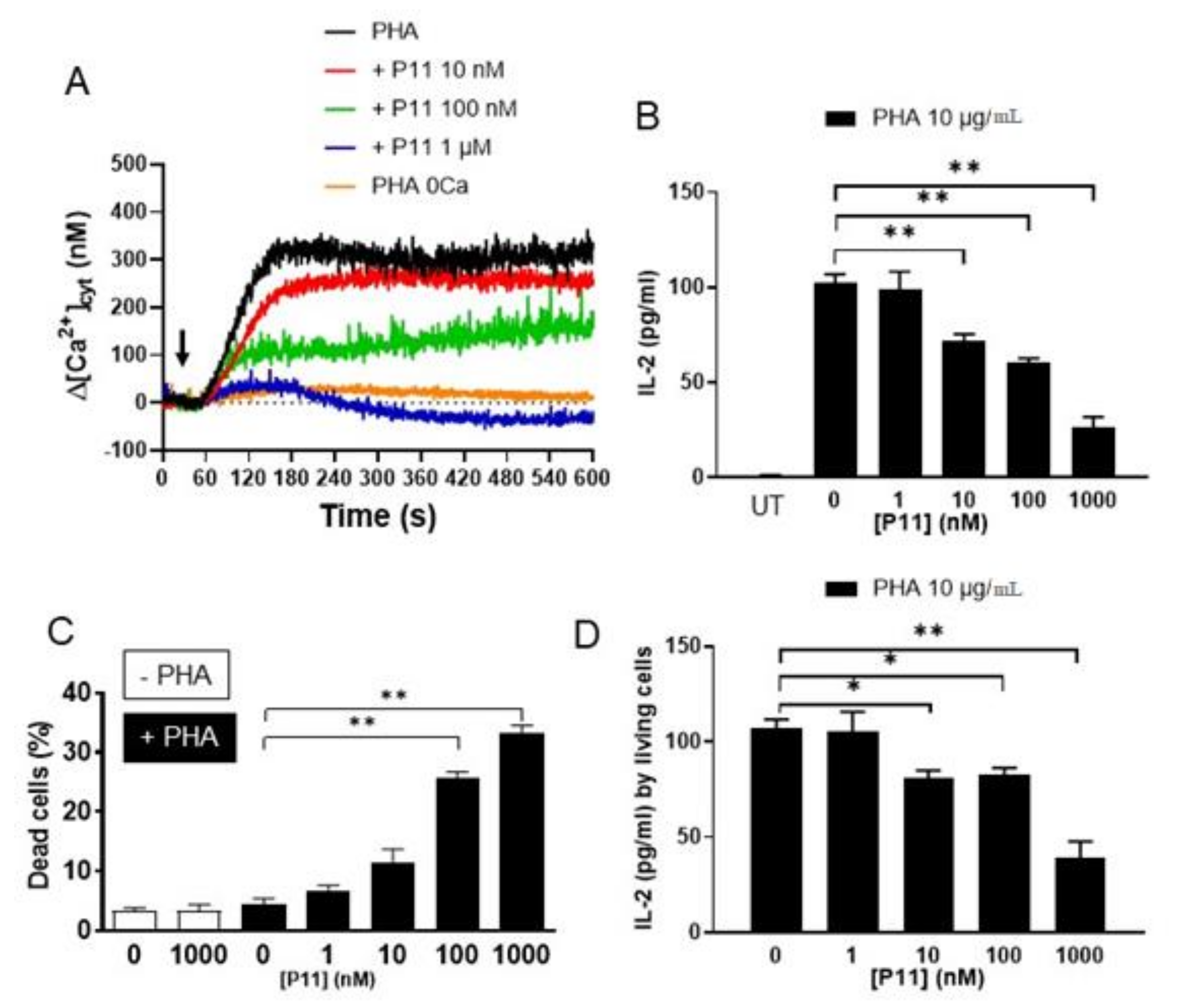 Ijms 21 09777 g005 Ijms 21 09777 g005
