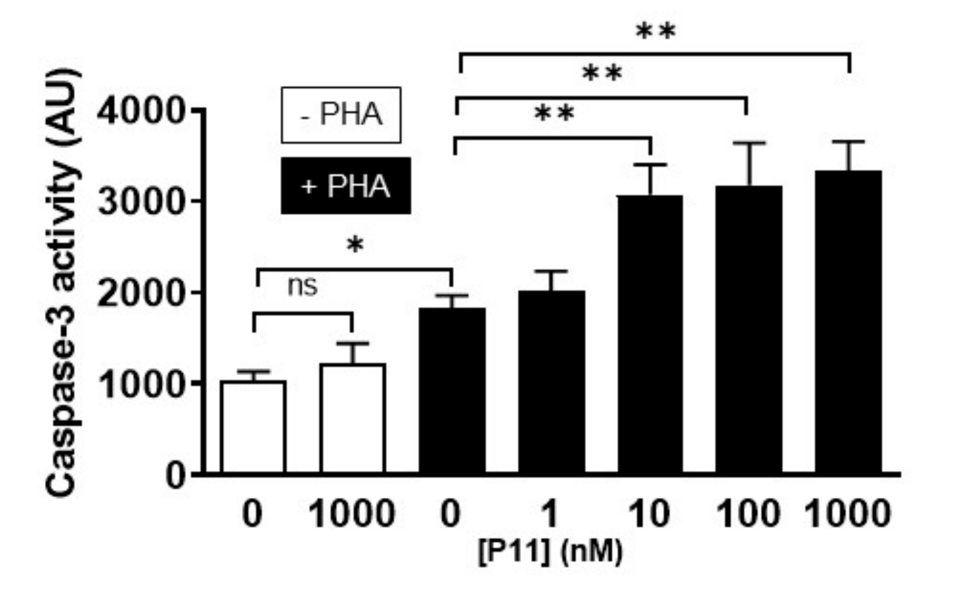 Ijms 21 09777 g006 Ijms 21 09777 g006