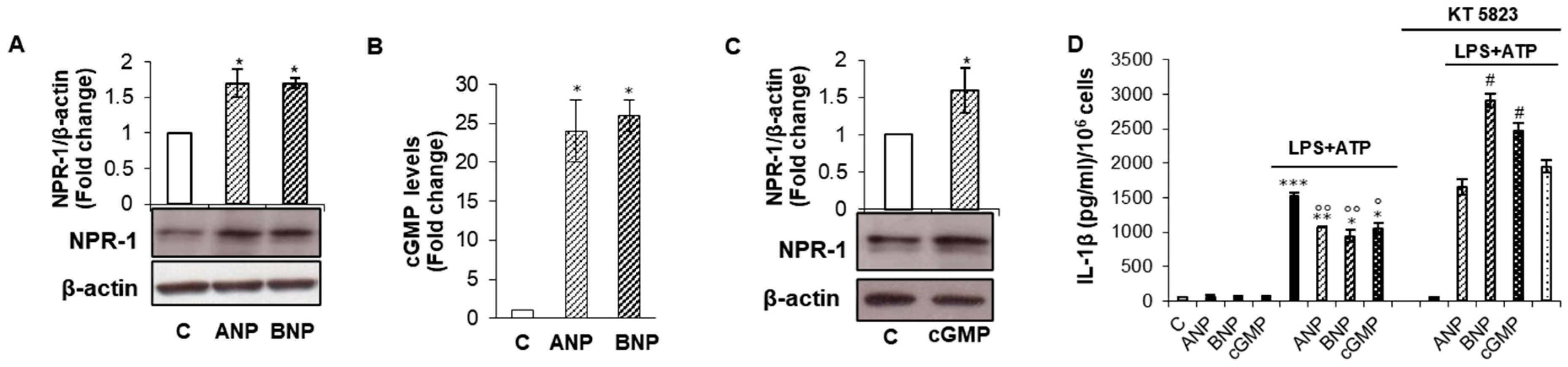 Ijms 22 00024 g001 Ijms 22 00024 g001