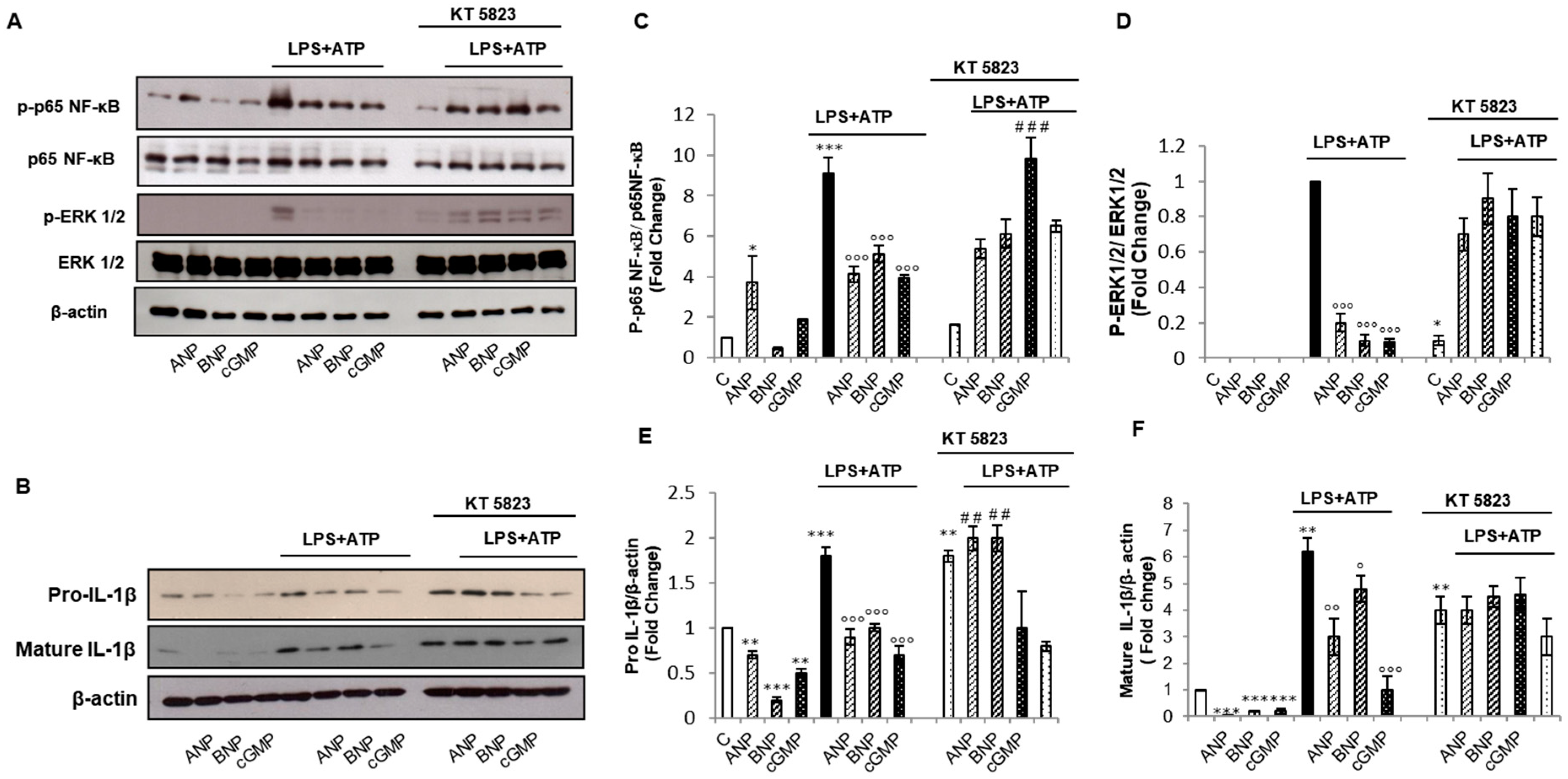 Ijms 22 00024 g002 Ijms 22 00024 g002