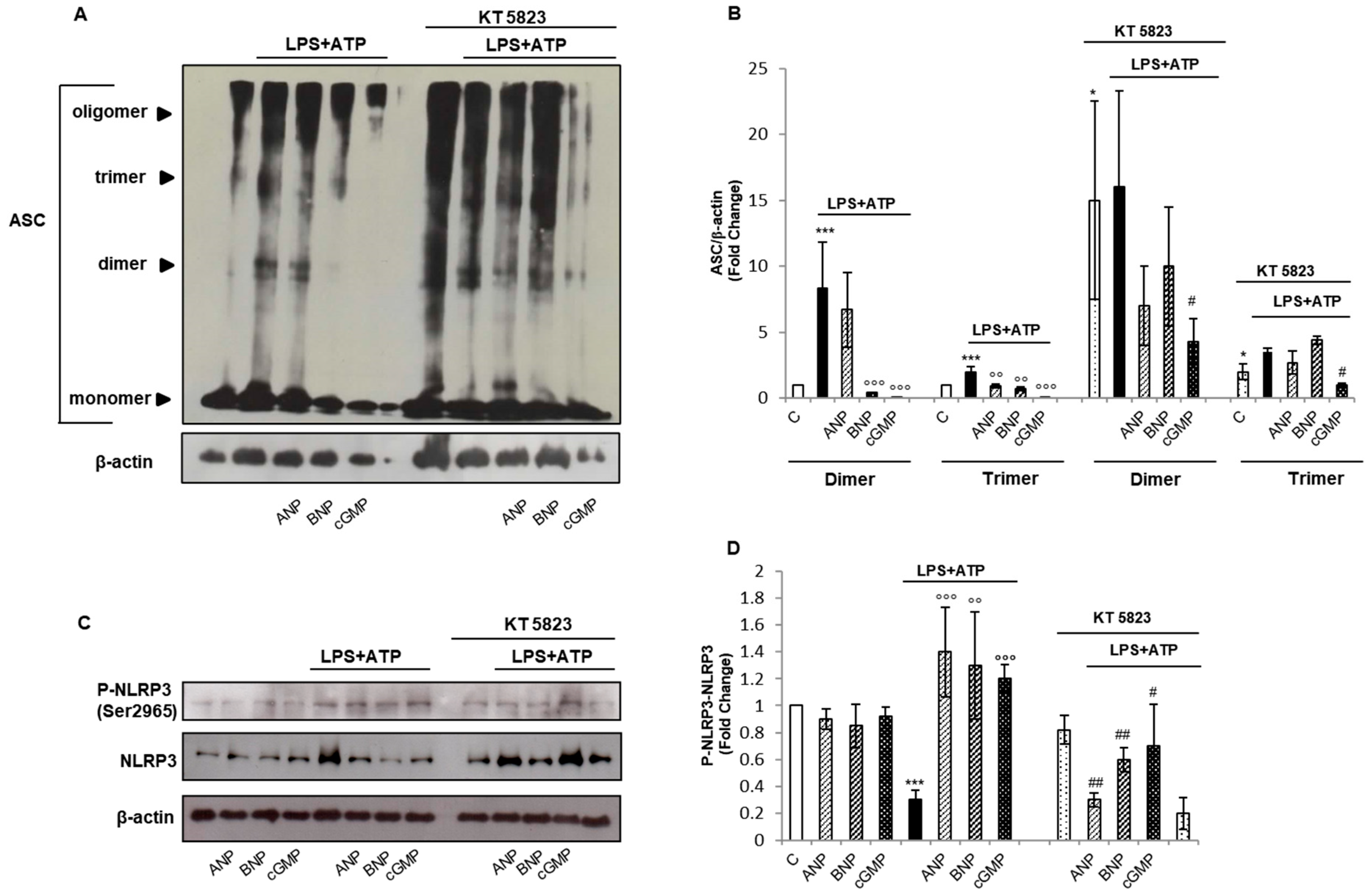 Ijms 22 00024 g004 Ijms 22 00024 g004