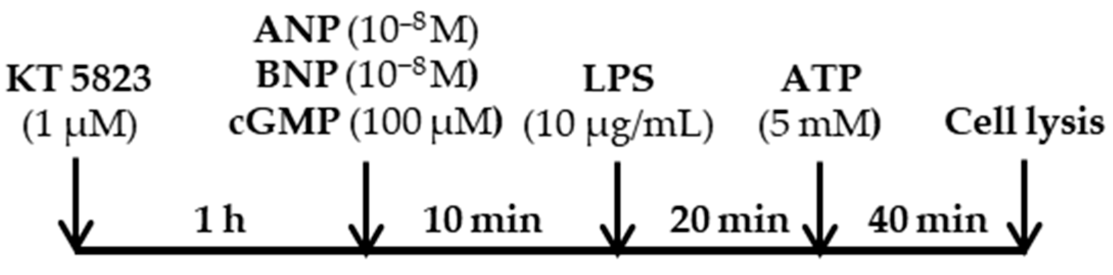 Ijms 22 00024 sch001 Ijms 22 00024 sch001