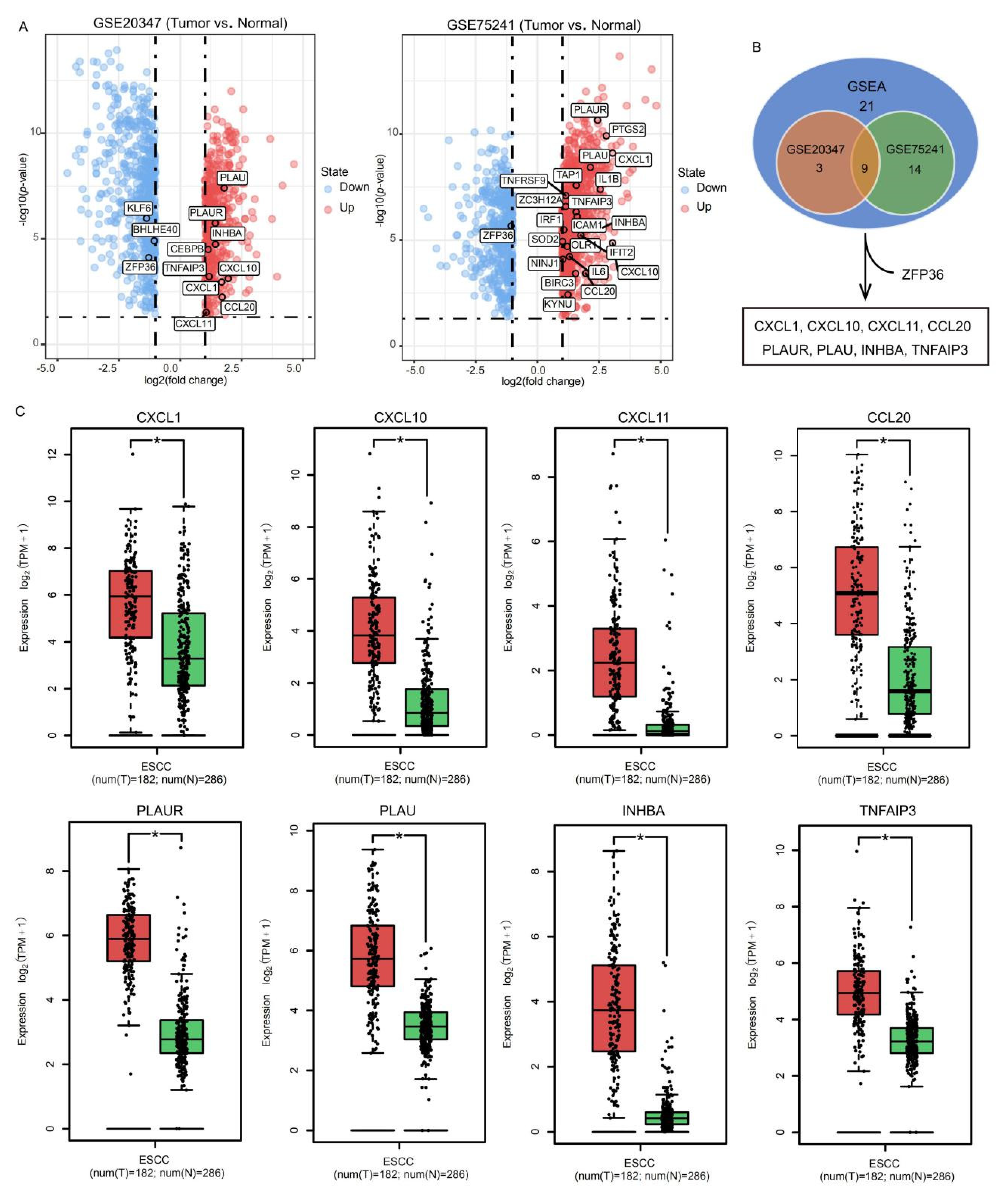 Ijms 22 00060 g002 Ijms 22 00060 g002