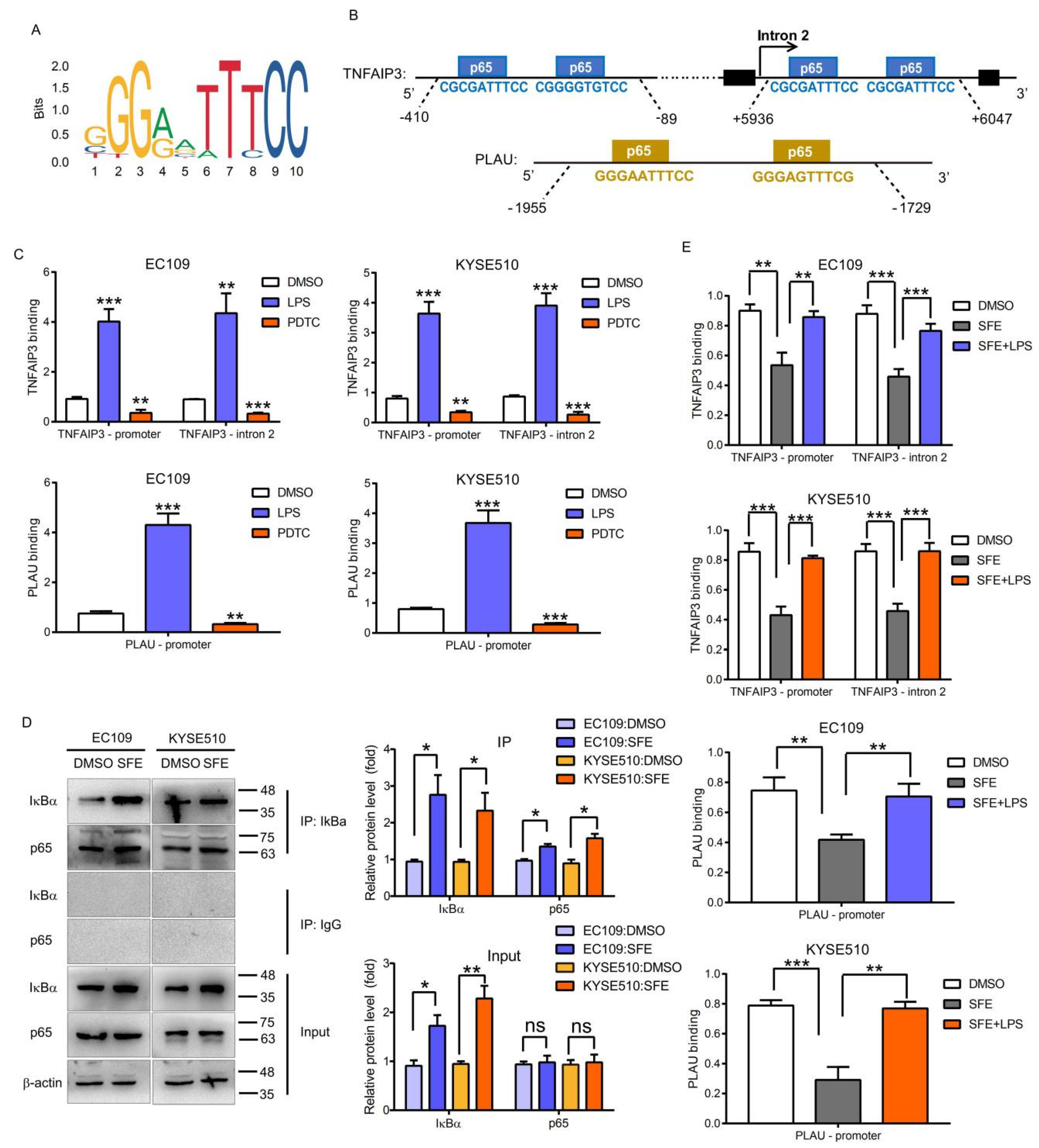 Ijms 22 00060 g004 Ijms 22 00060 g004