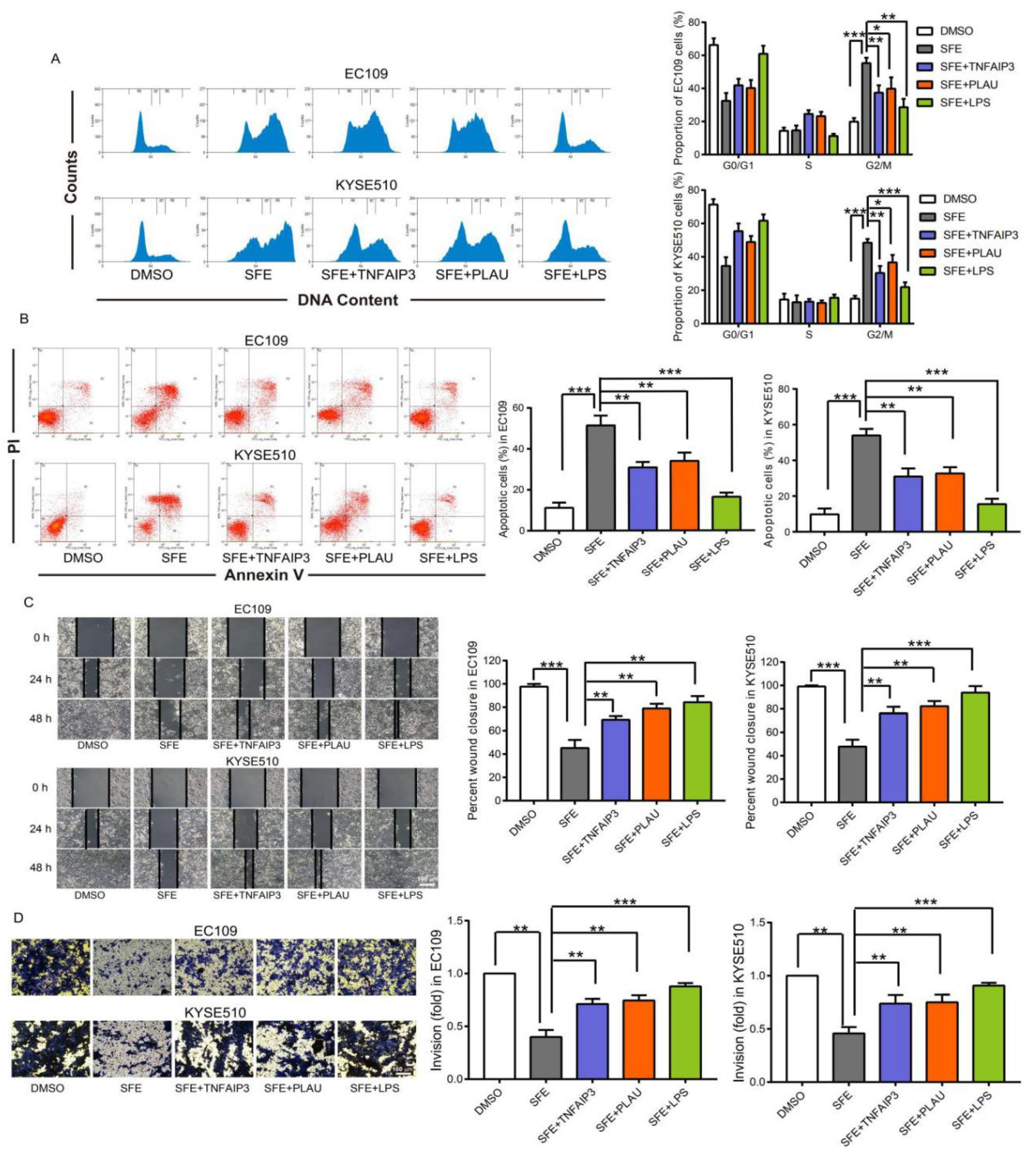 Ijms 22 00060 g005 Ijms 22 00060 g005