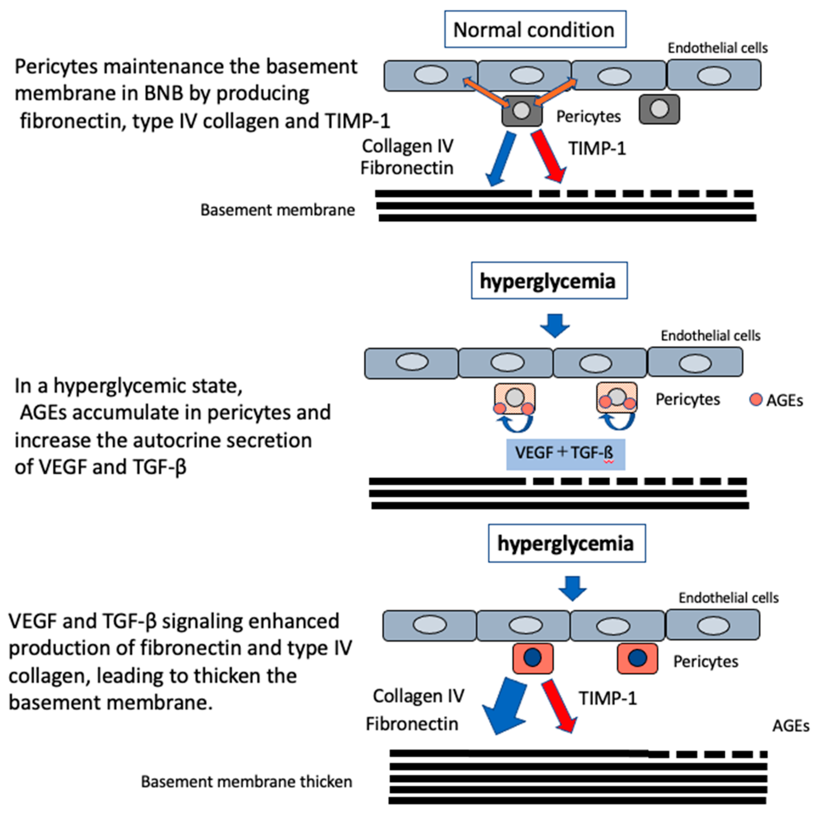Ijms 22 00062 g006 Ijms 22 00062 g006