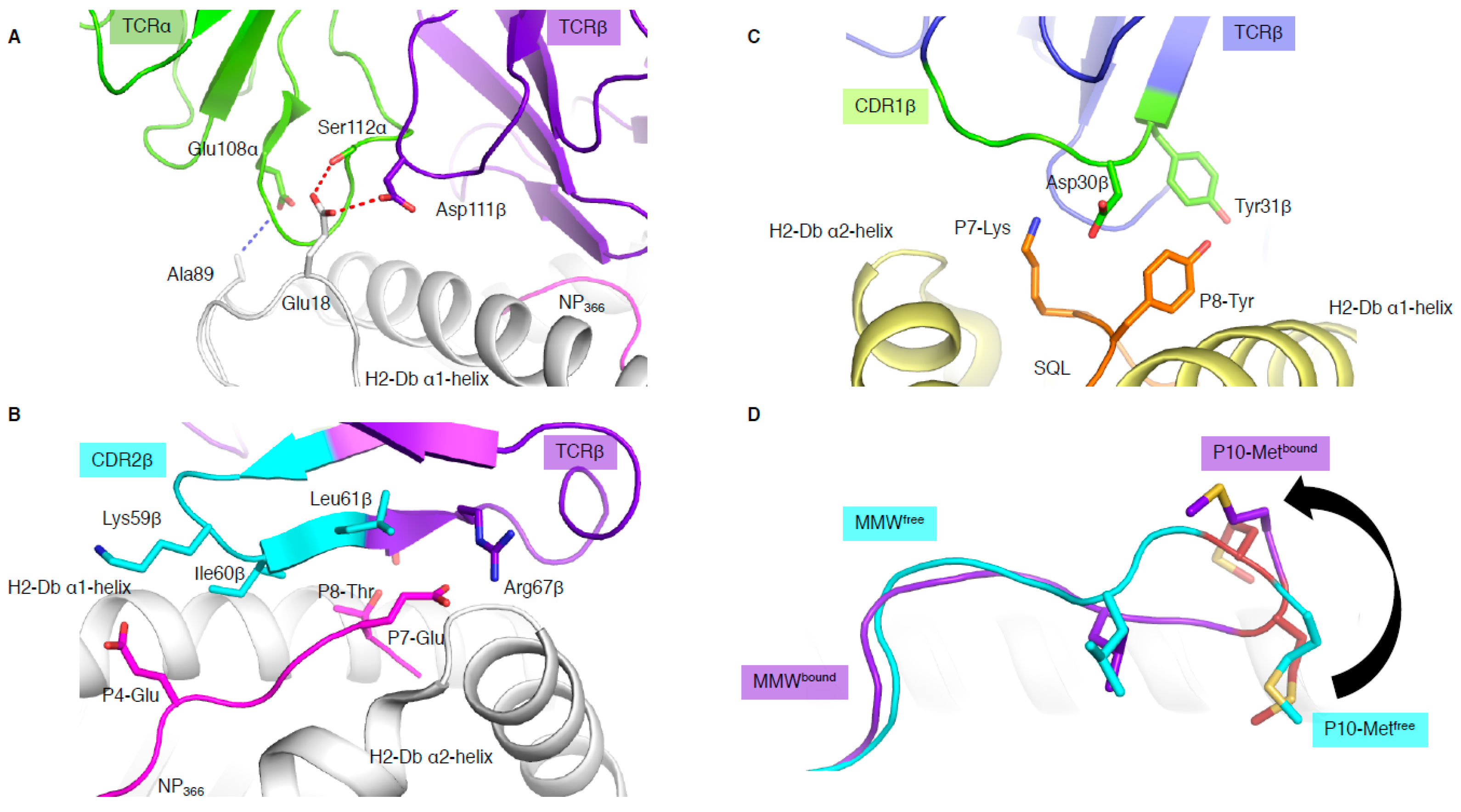 Ijms 22 00068 g003 Ijms 22 00068 g003