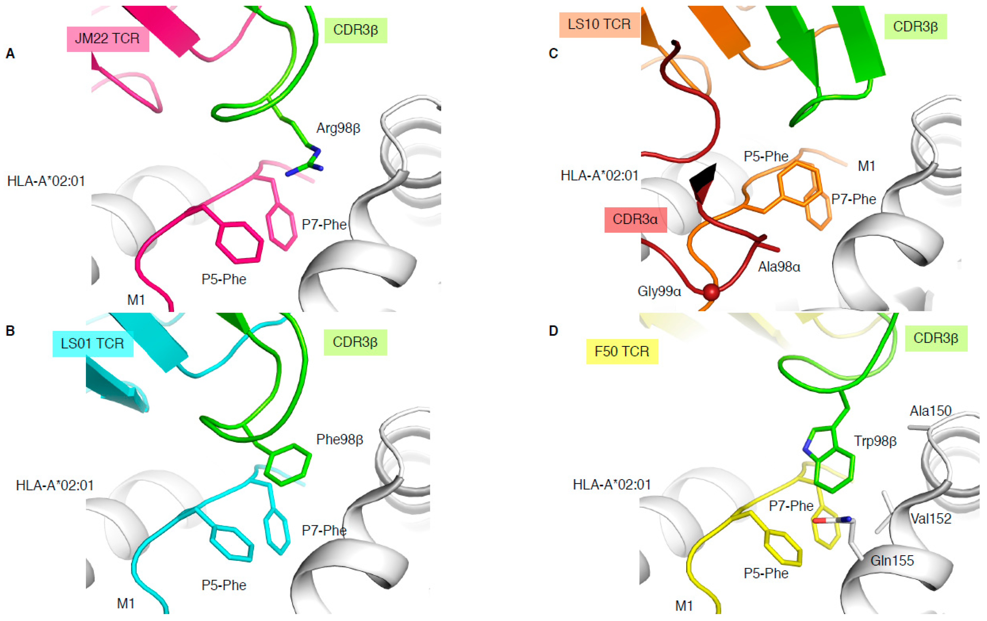 Ijms 22 00068 g004 Ijms 22 00068 g004