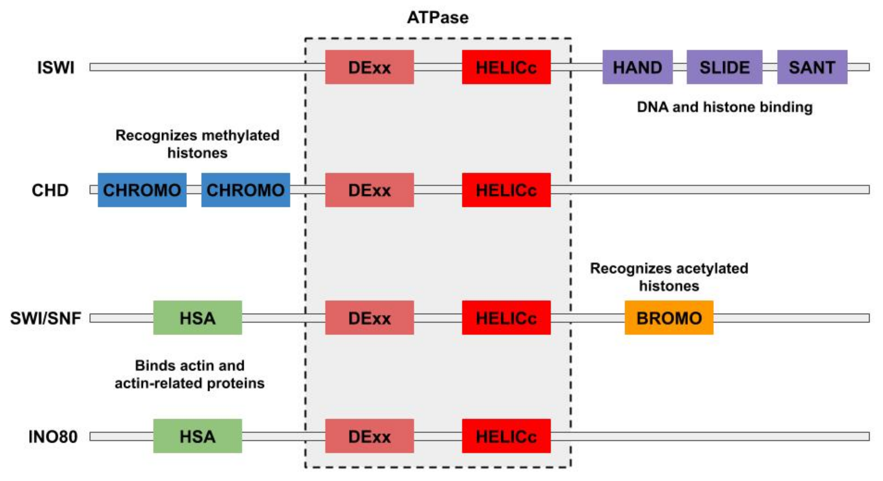 Ijms 22 00076 g002 Ijms 22 00076 g002