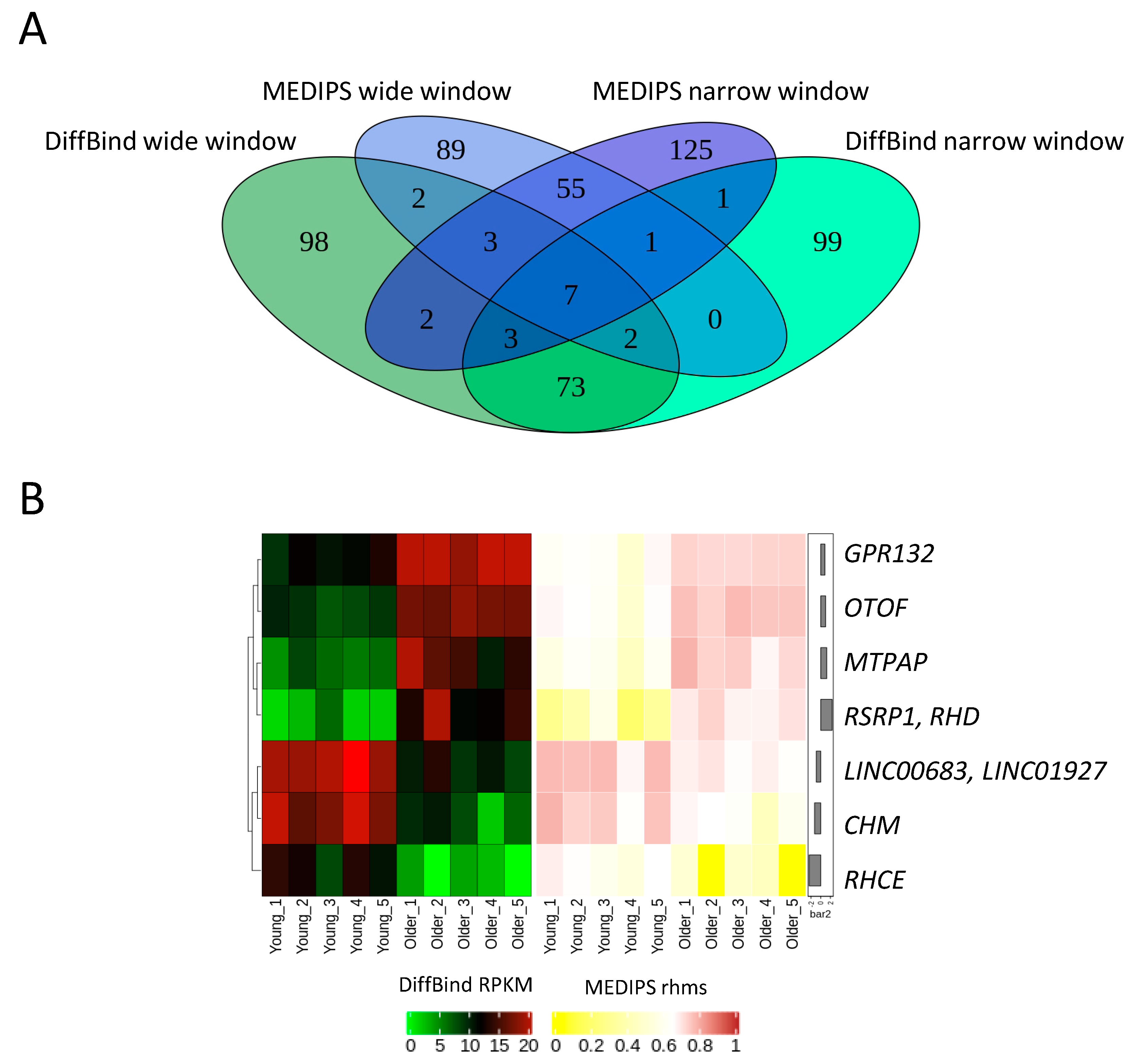 Ijms 22 00078 g006 Ijms 22 00078 g006