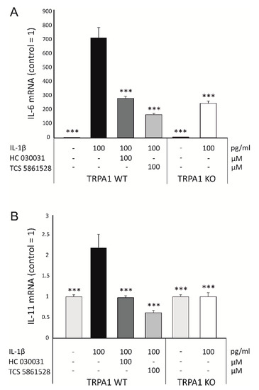 Ijms Free Full Text Transient Receptor Potential Ankyrin 1 Trpa1