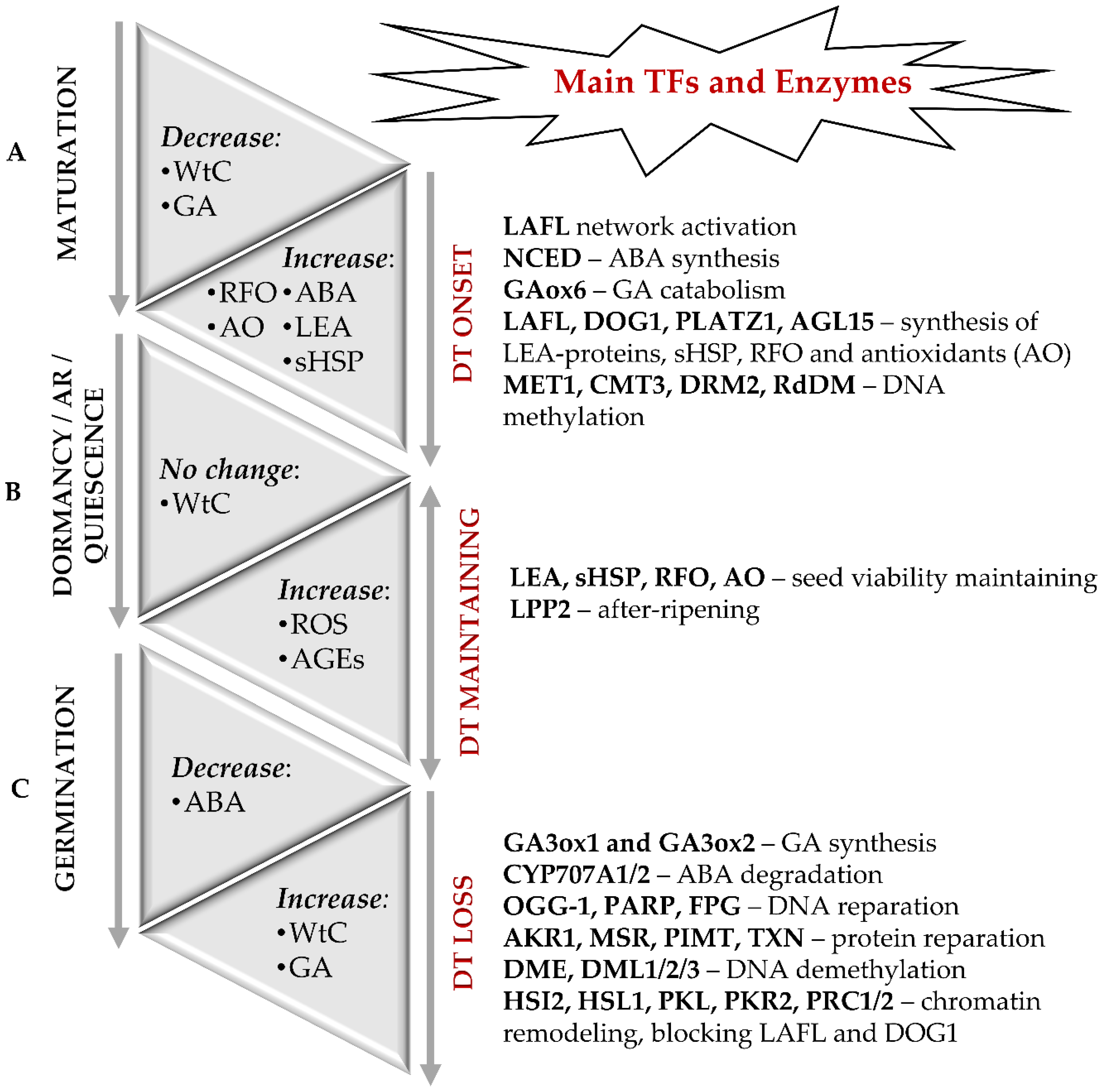 Ijms 22 00101 g001 Ijms 22 00101 g001