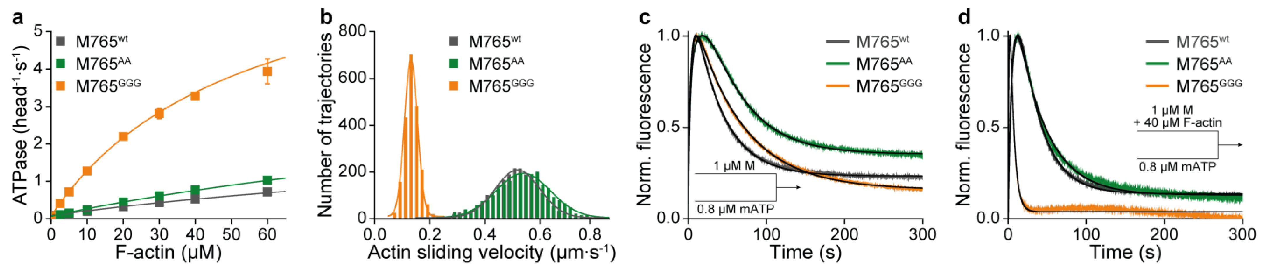 Ijms 22 00104 g003 Ijms 22 00104 g003