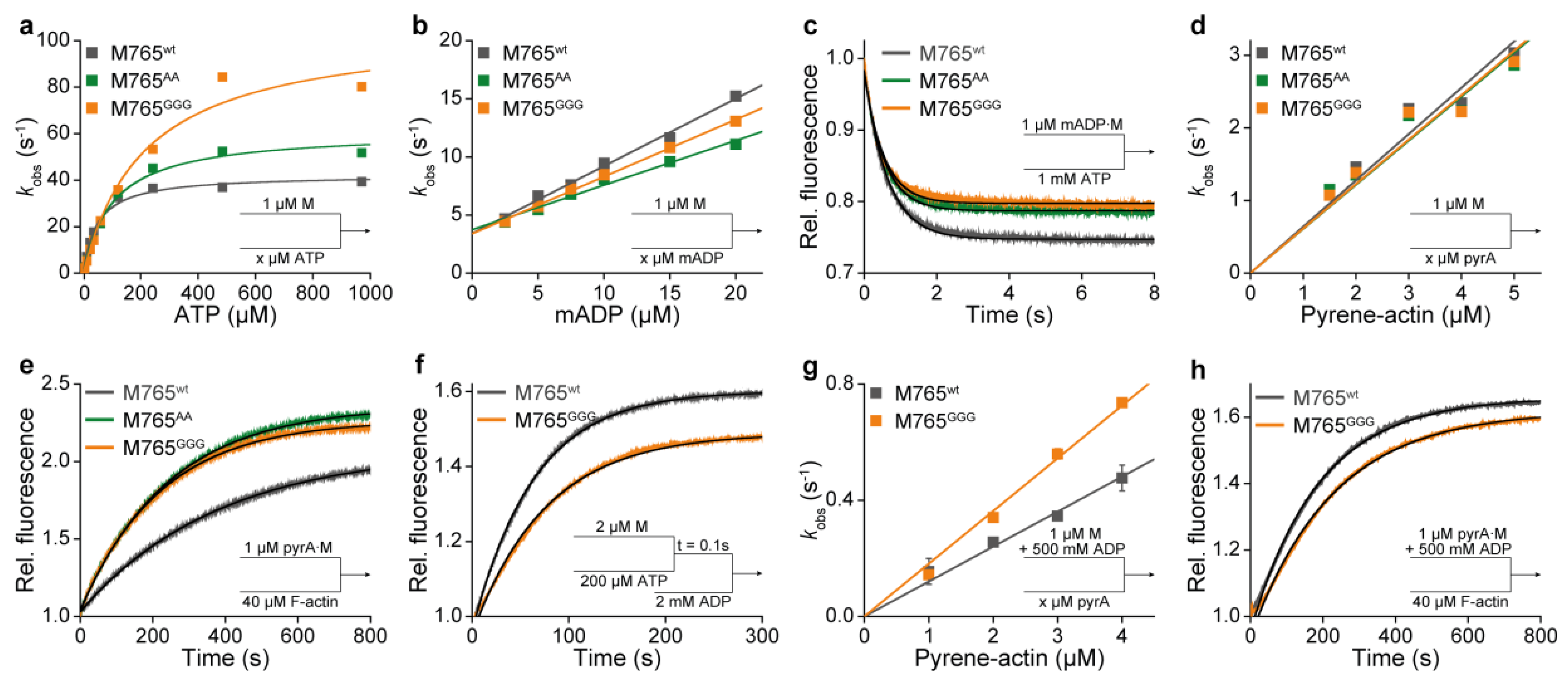 Ijms 22 00104 g004 Ijms 22 00104 g004