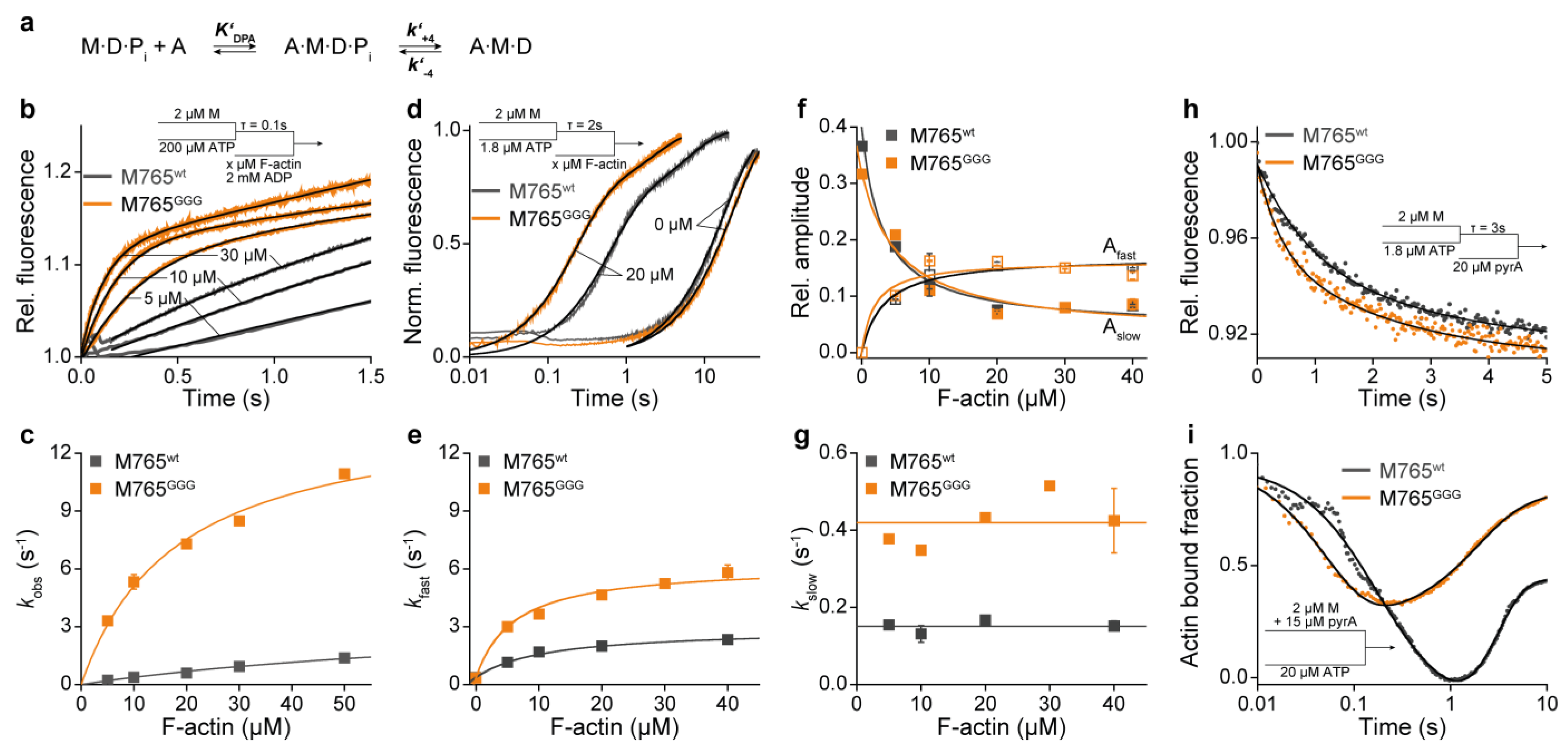 Ijms 22 00104 g006 Ijms 22 00104 g006