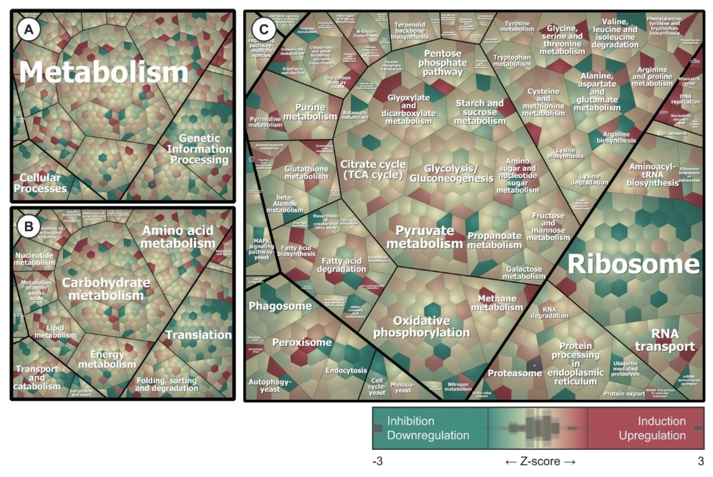 Ijms 22 00108 g006 Ijms 22 00108 g006