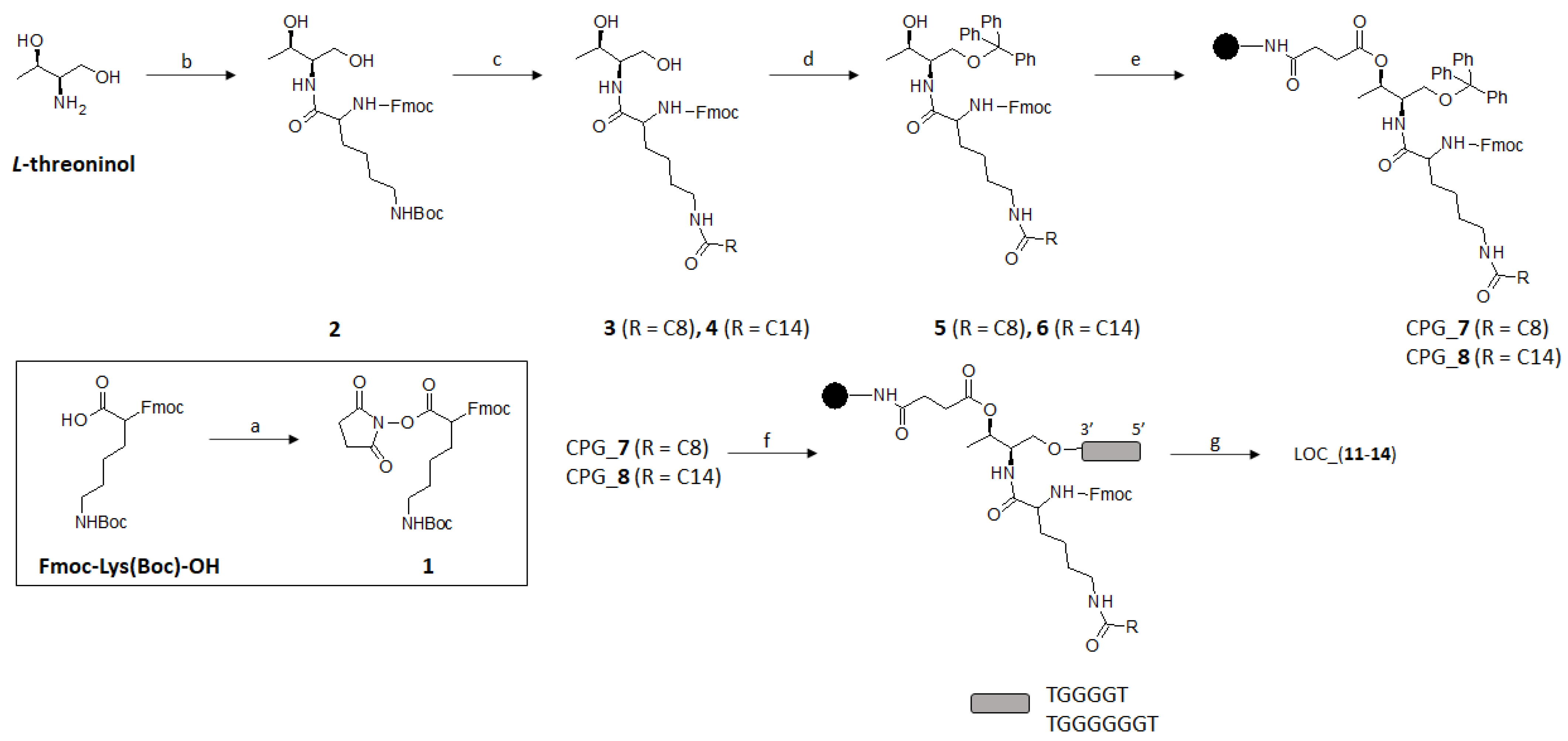 Degradation of a 18mer oligonucleotide (50 μg/mL in 16 mM TEA, 100