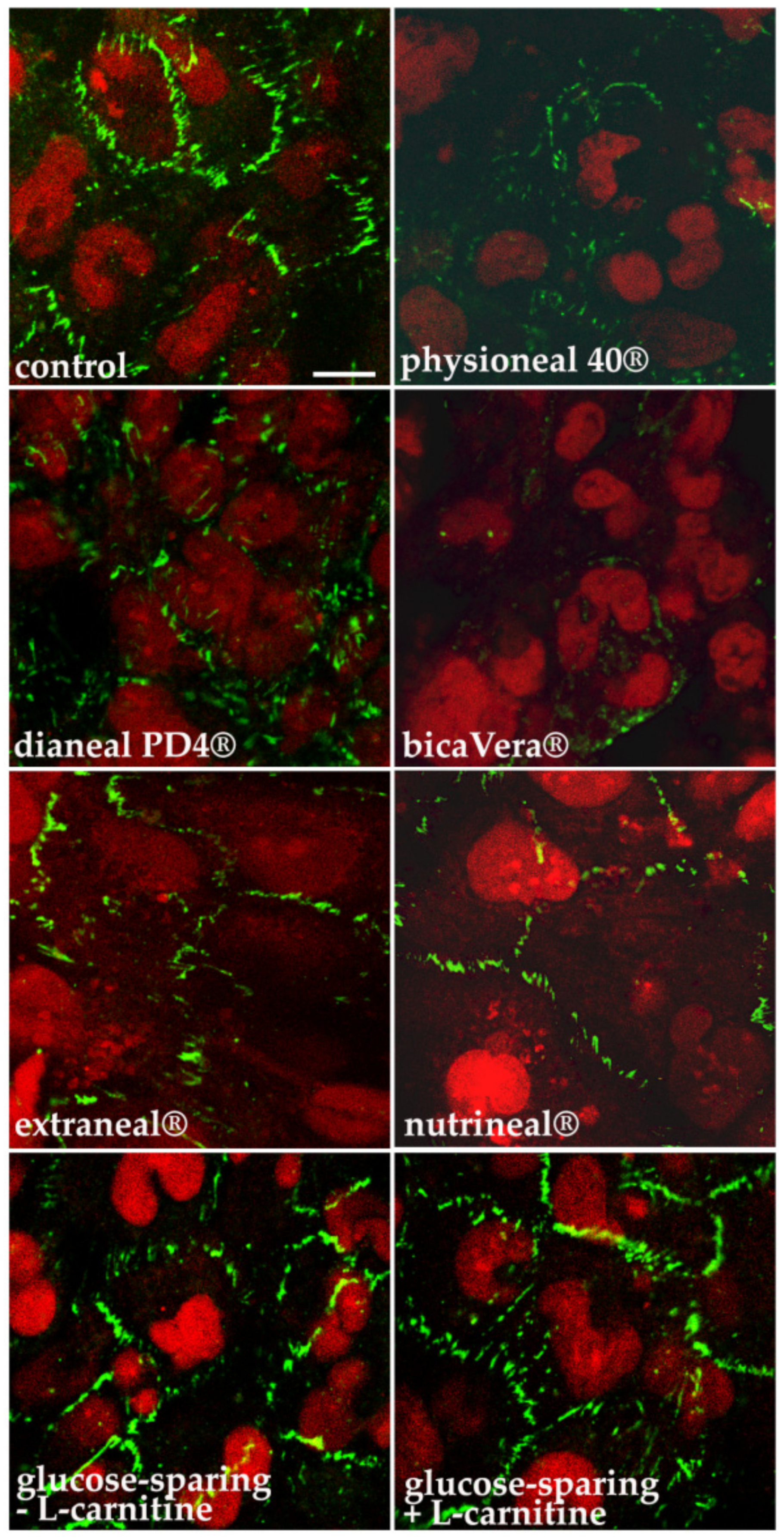 Ijms 22 00123 g002 Ijms 22 00123 g002