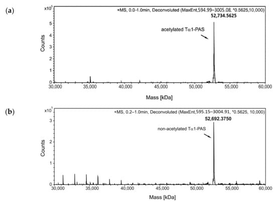 Thymosin α1 protects from CTLA-4 intestinal immunopathology